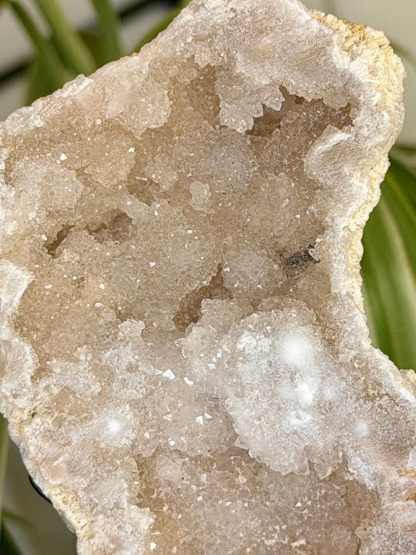 Quartz Geode | 144g - The Crystal Valley