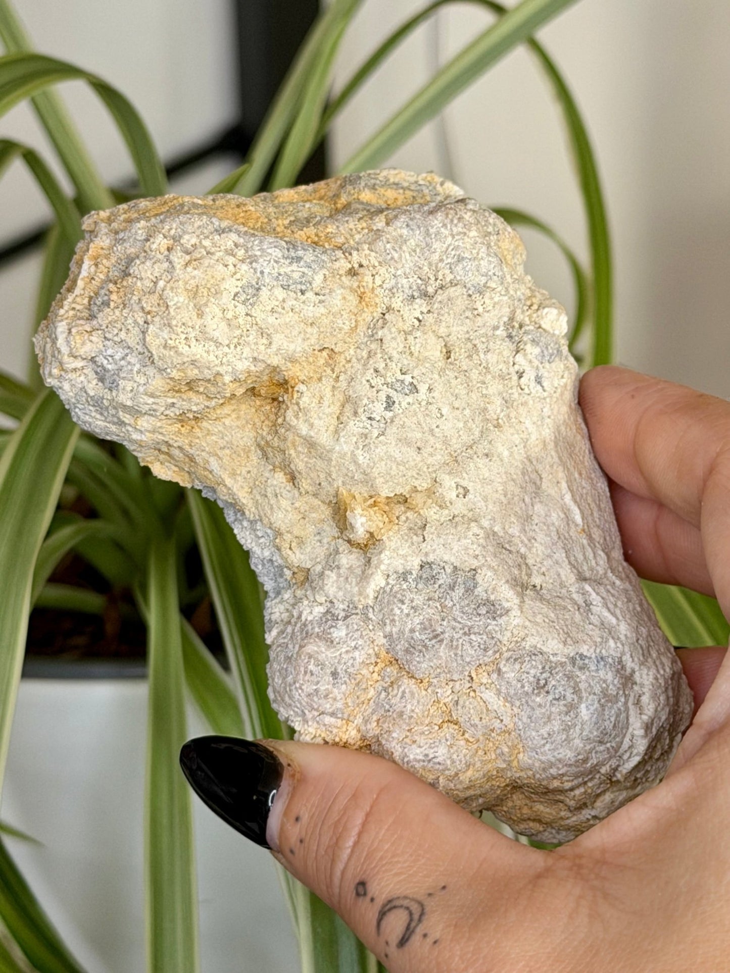 Quartz Geode | 144g - The Crystal Valley