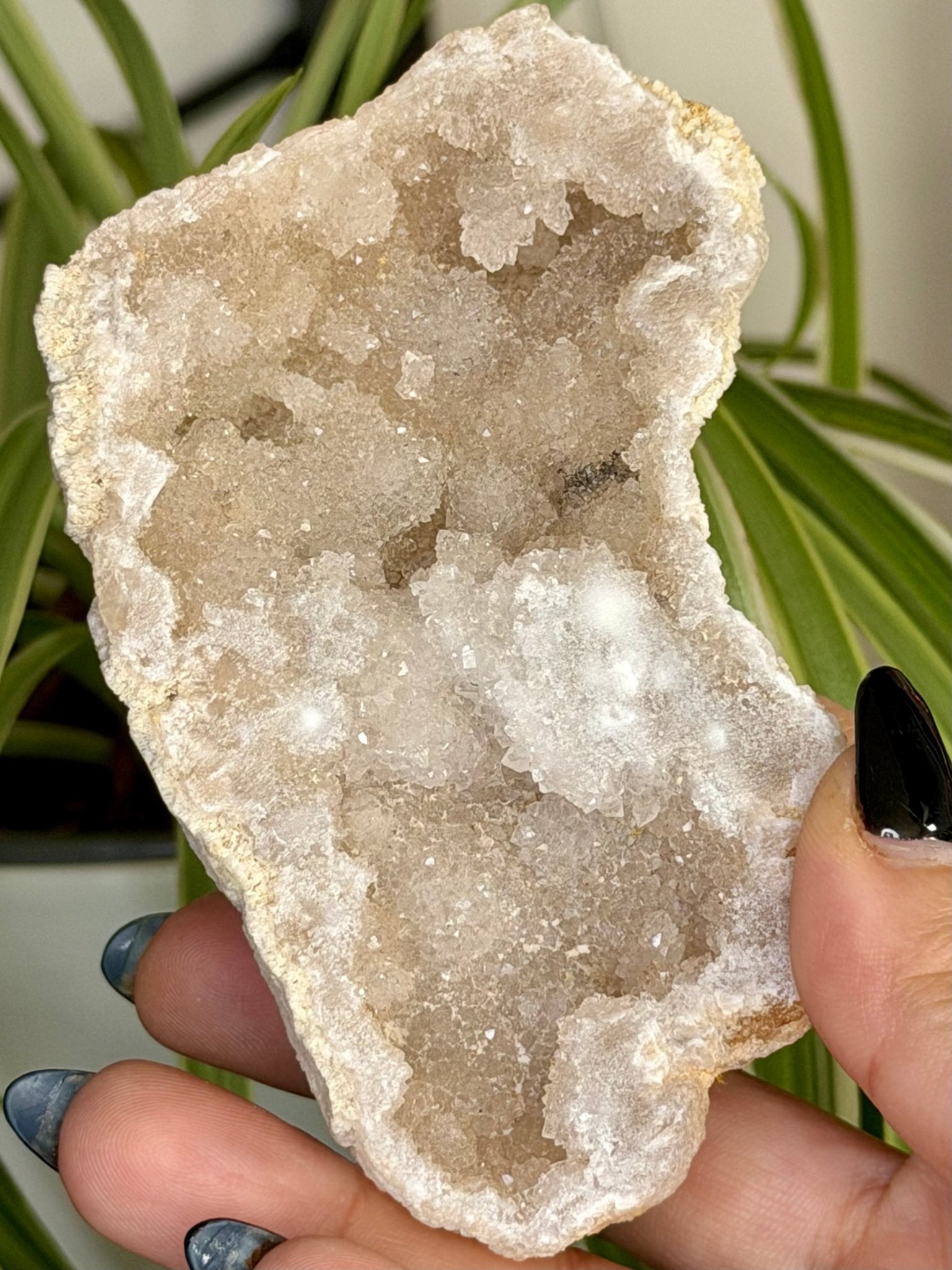 Quartz Geode | 144g - The Crystal Valley