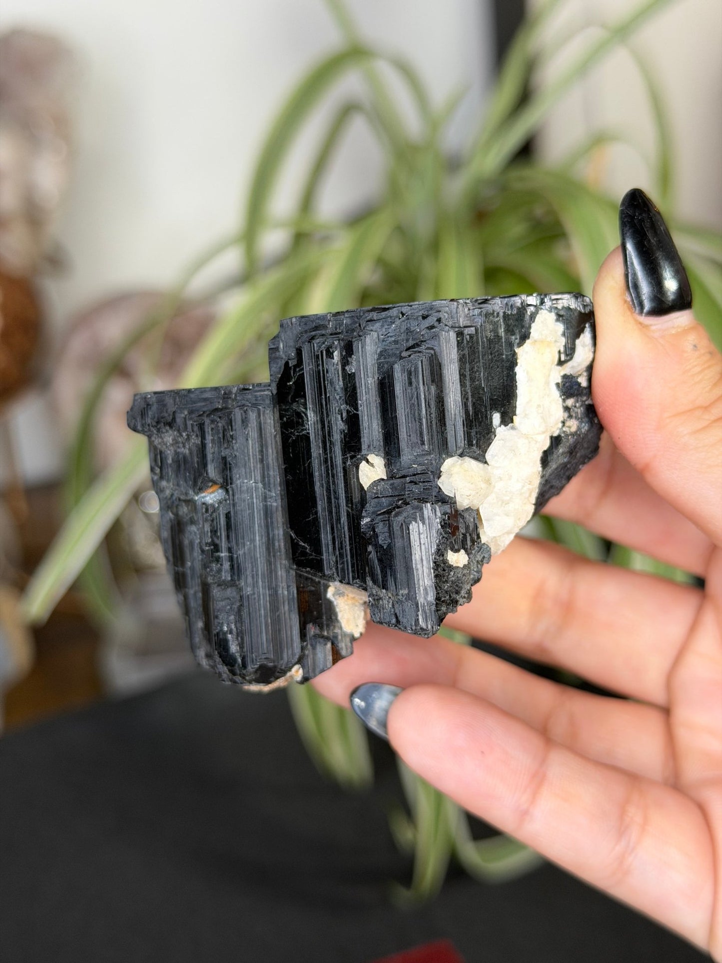 Record Keeper Tourmaline| 165g - The Crystal ValleyQuartz