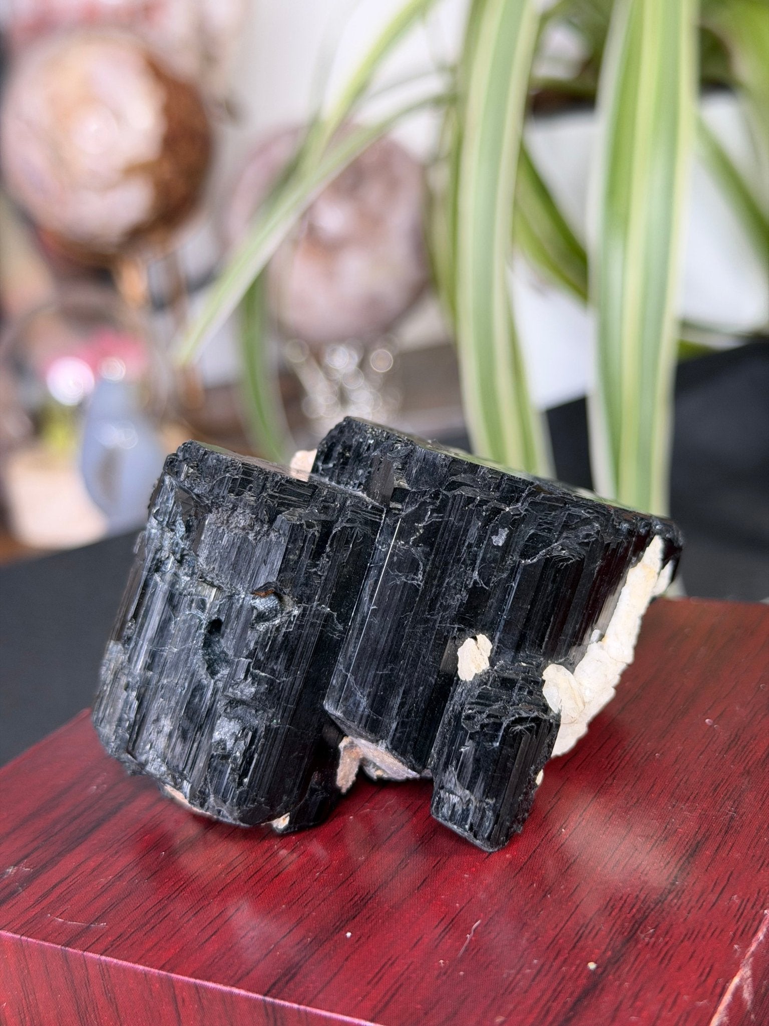 Record Keeper Tourmaline| 165g - The Crystal ValleyQuartz