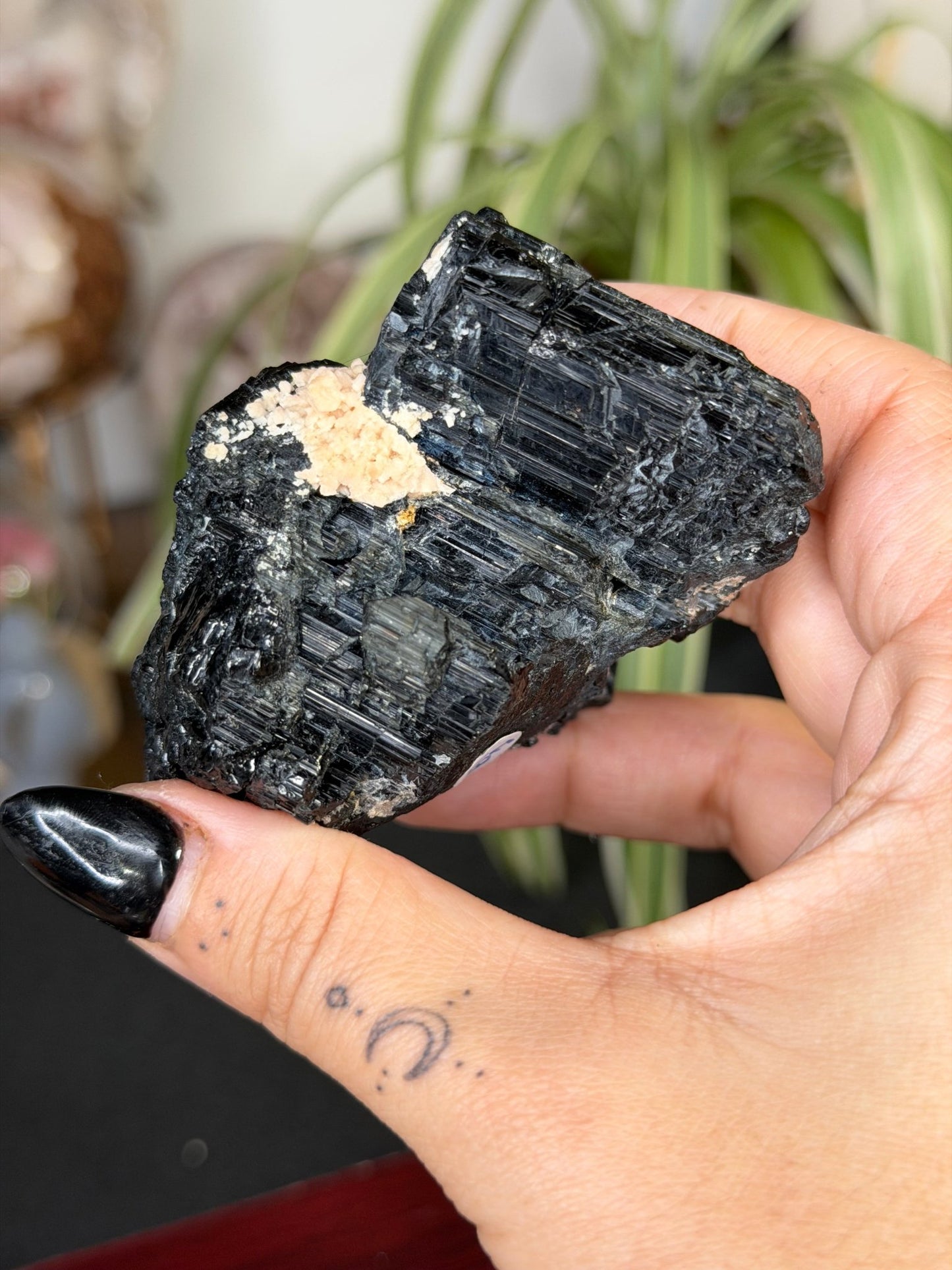 Record Keeper Tourmaline| 165g - The Crystal ValleyQuartz