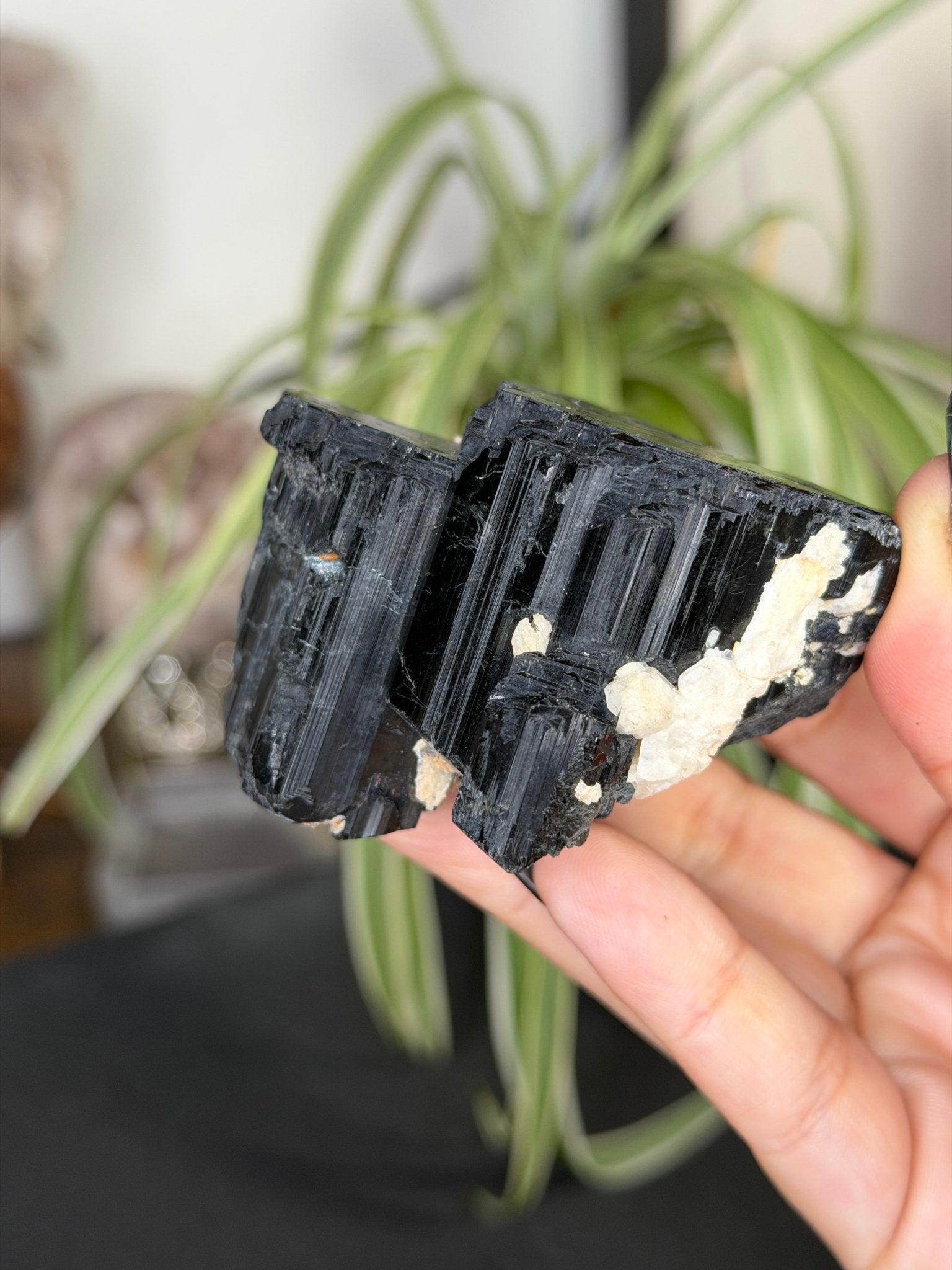 Record Keeper Tourmaline| 165g - The Crystal ValleyQuartz