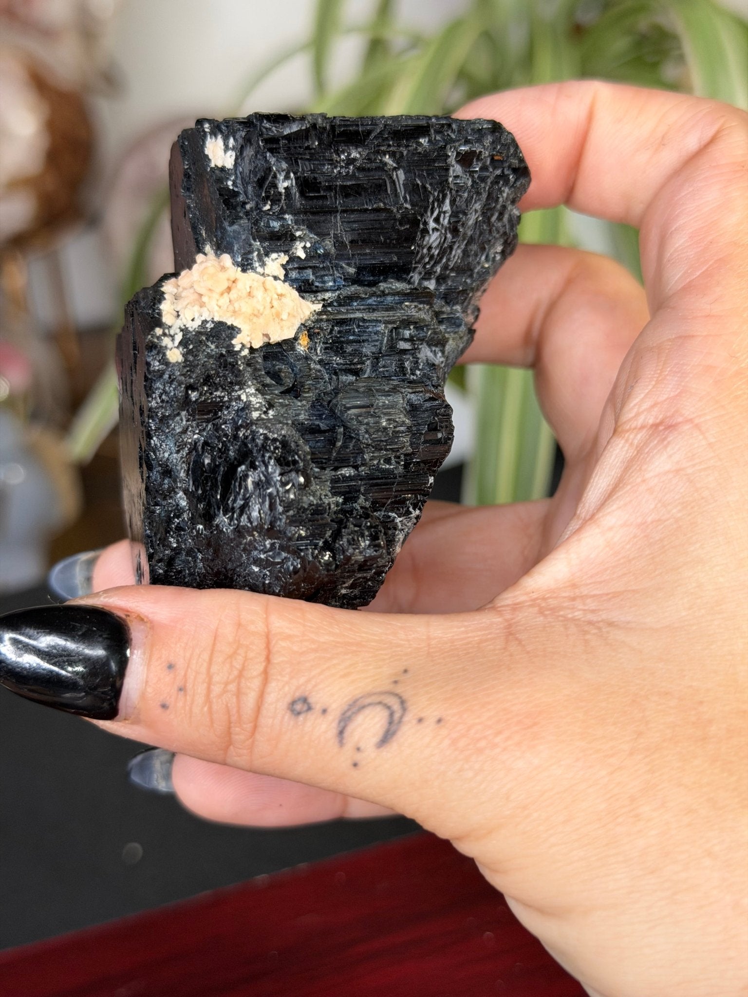 Record Keeper Tourmaline| 165g - The Crystal ValleyQuartz