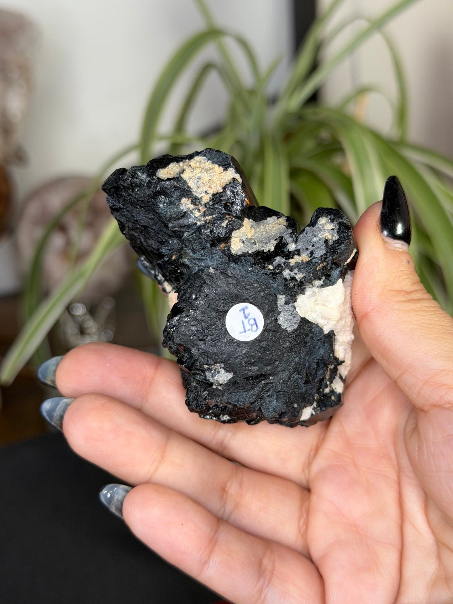 Record Keeper Tourmaline| 165g - The Crystal ValleyQuartz