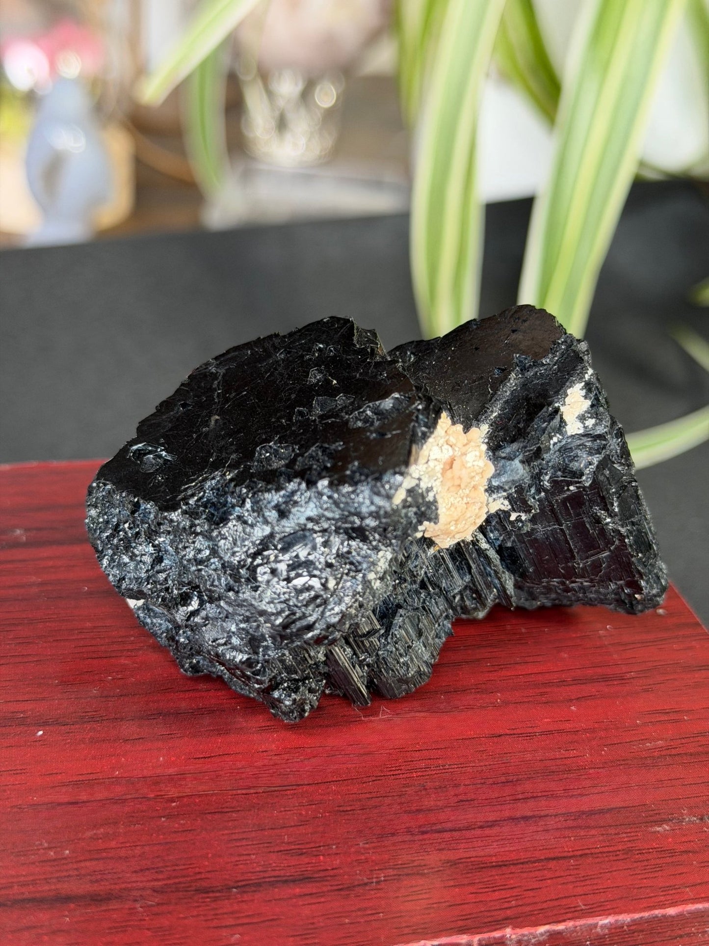 Record Keeper Tourmaline| 165g - The Crystal ValleyQuartz