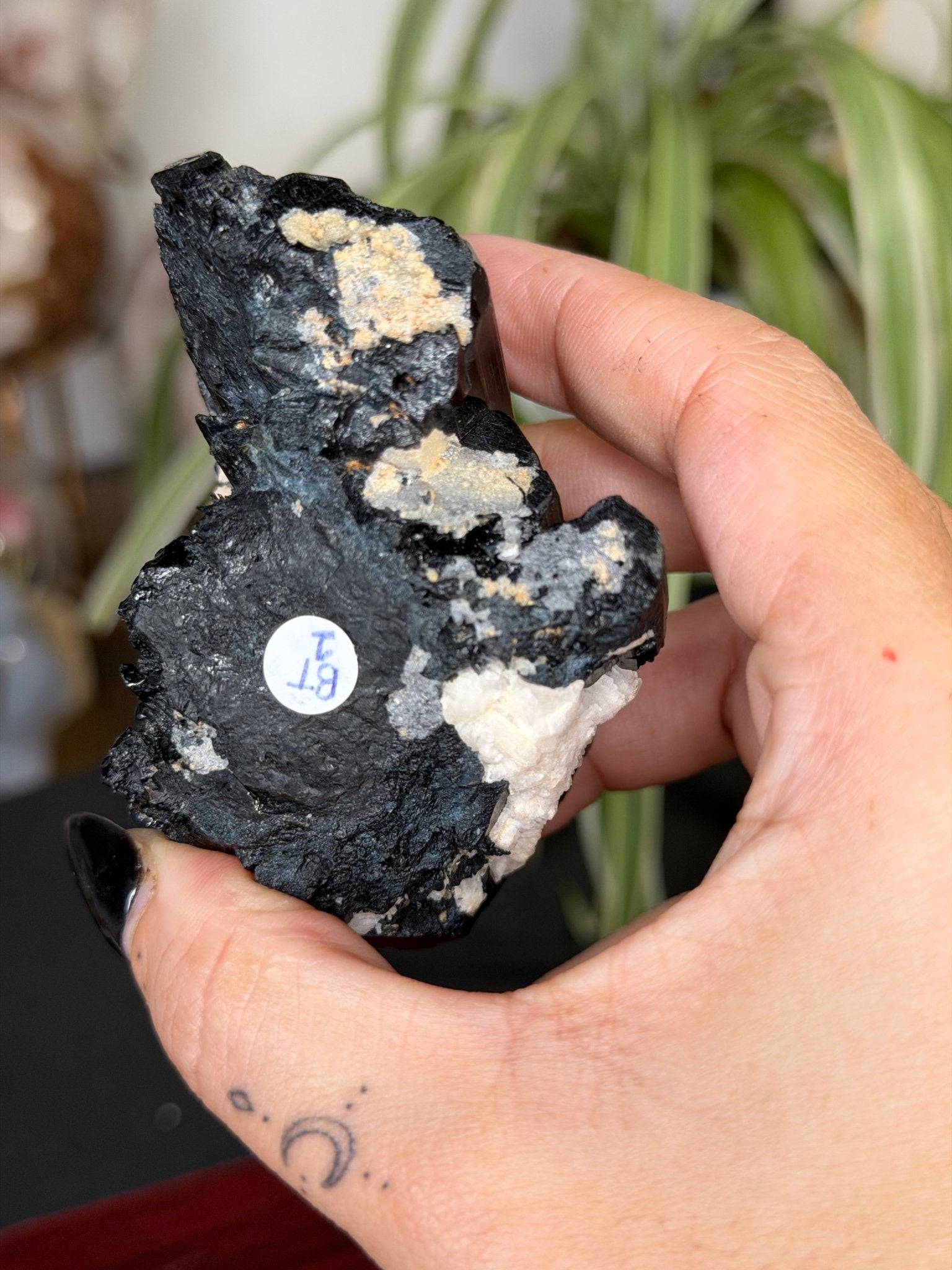 Record Keeper Tourmaline| 165g - The Crystal ValleyQuartz