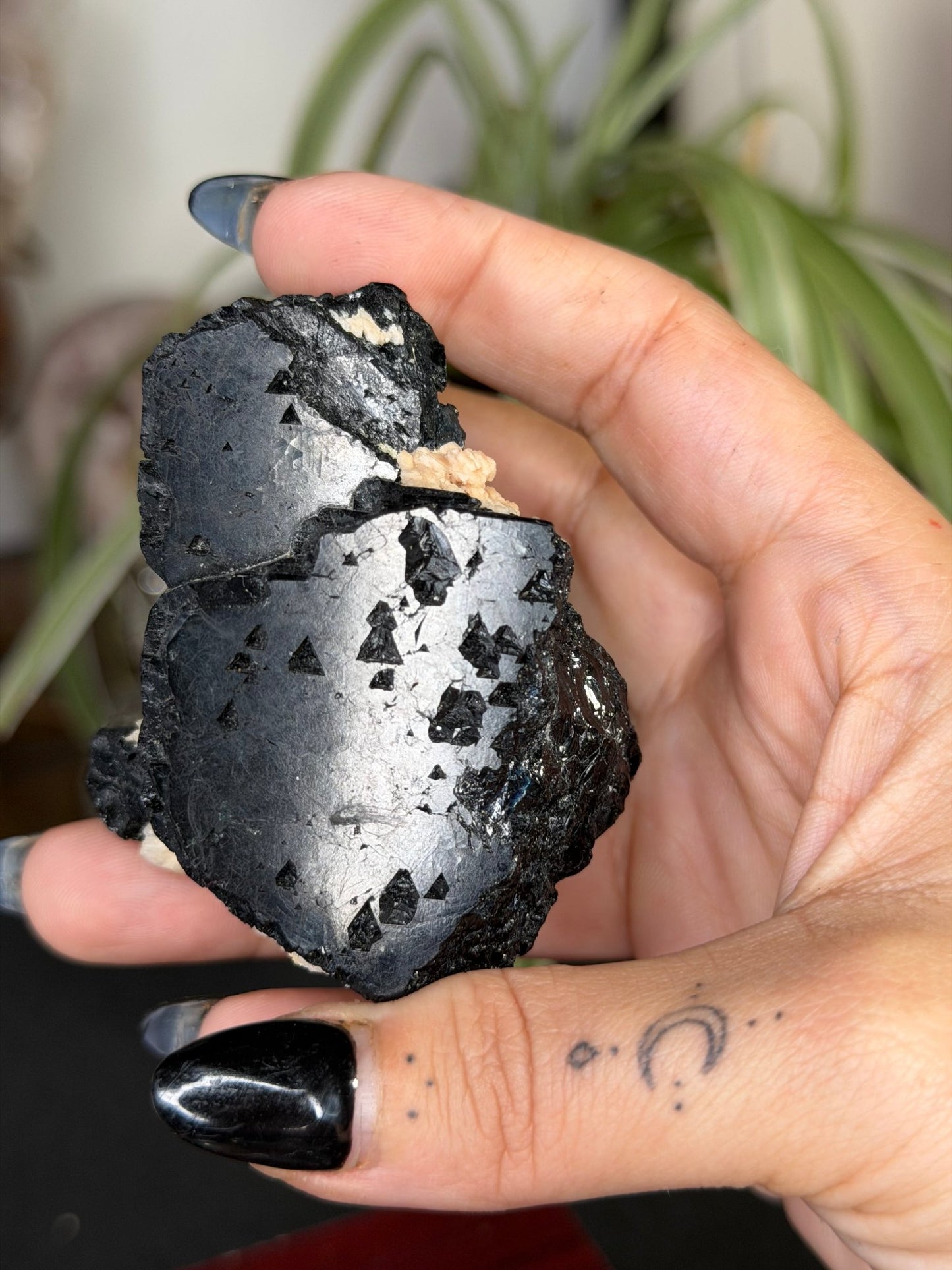 Record Keeper Tourmaline| 165g - The Crystal ValleyQuartz