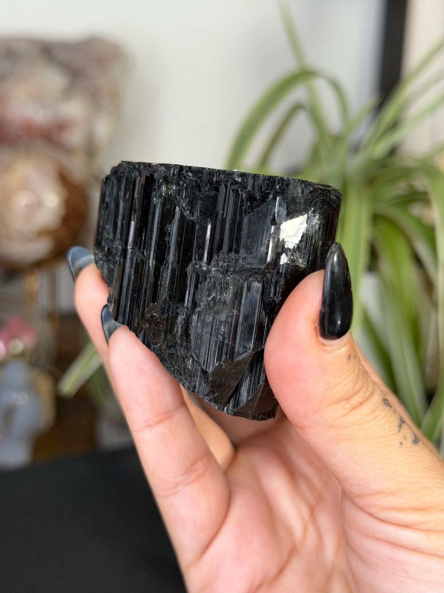 Record Keeper Tourmaline| 180g - The Crystal ValleyQuartz