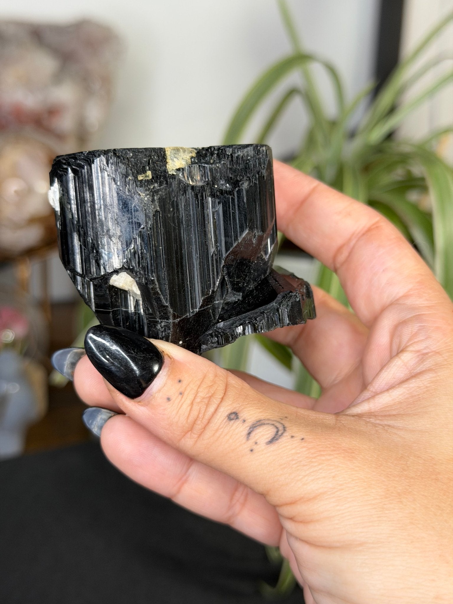 Record Keeper Tourmaline| 180g - The Crystal ValleyQuartz