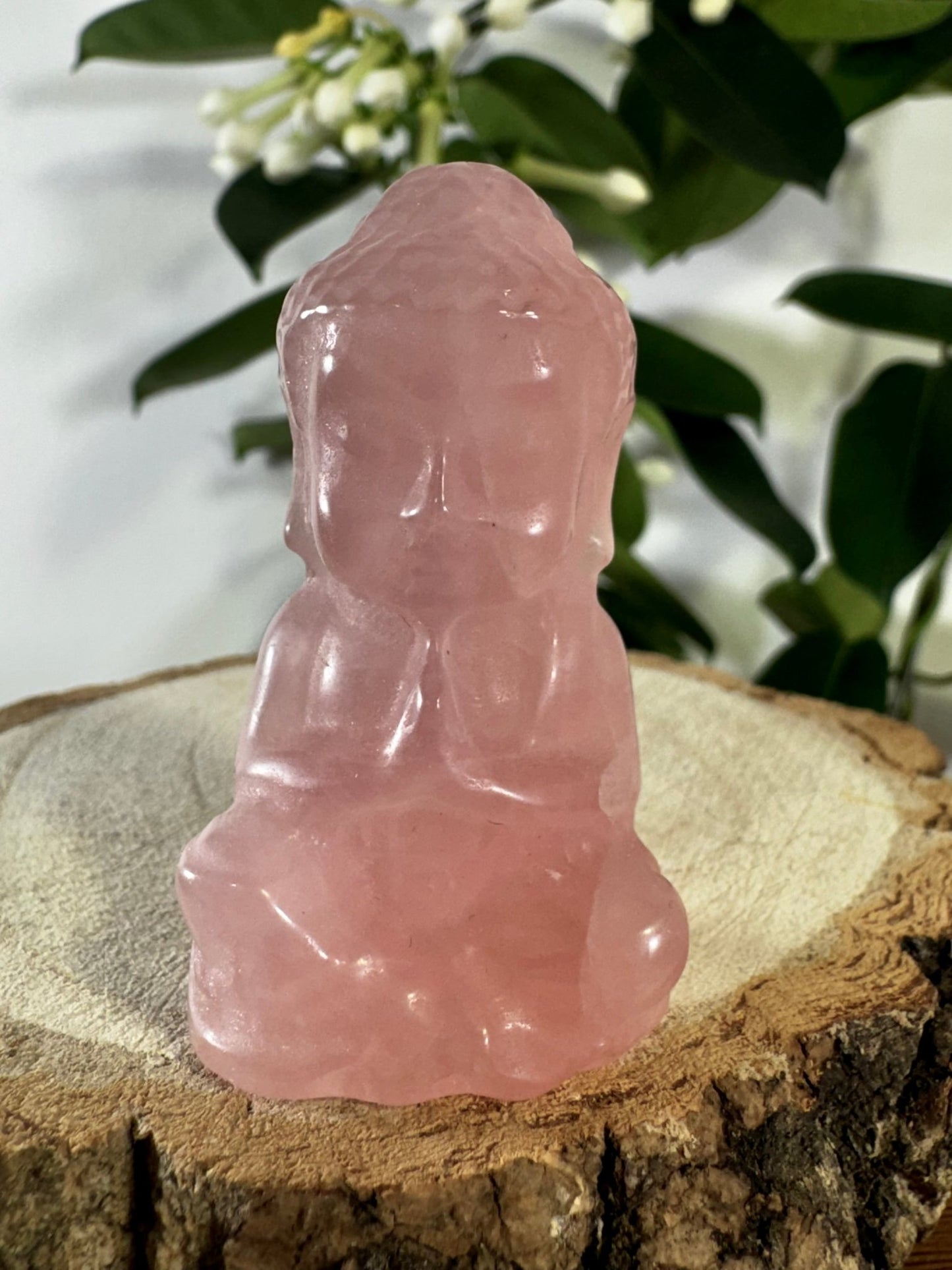 Rose Quartz Buddha | 54g - The Crystal Valley