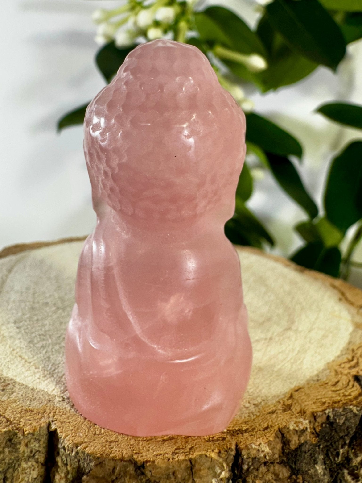 Rose Quartz Buddha | 54g - The Crystal Valley