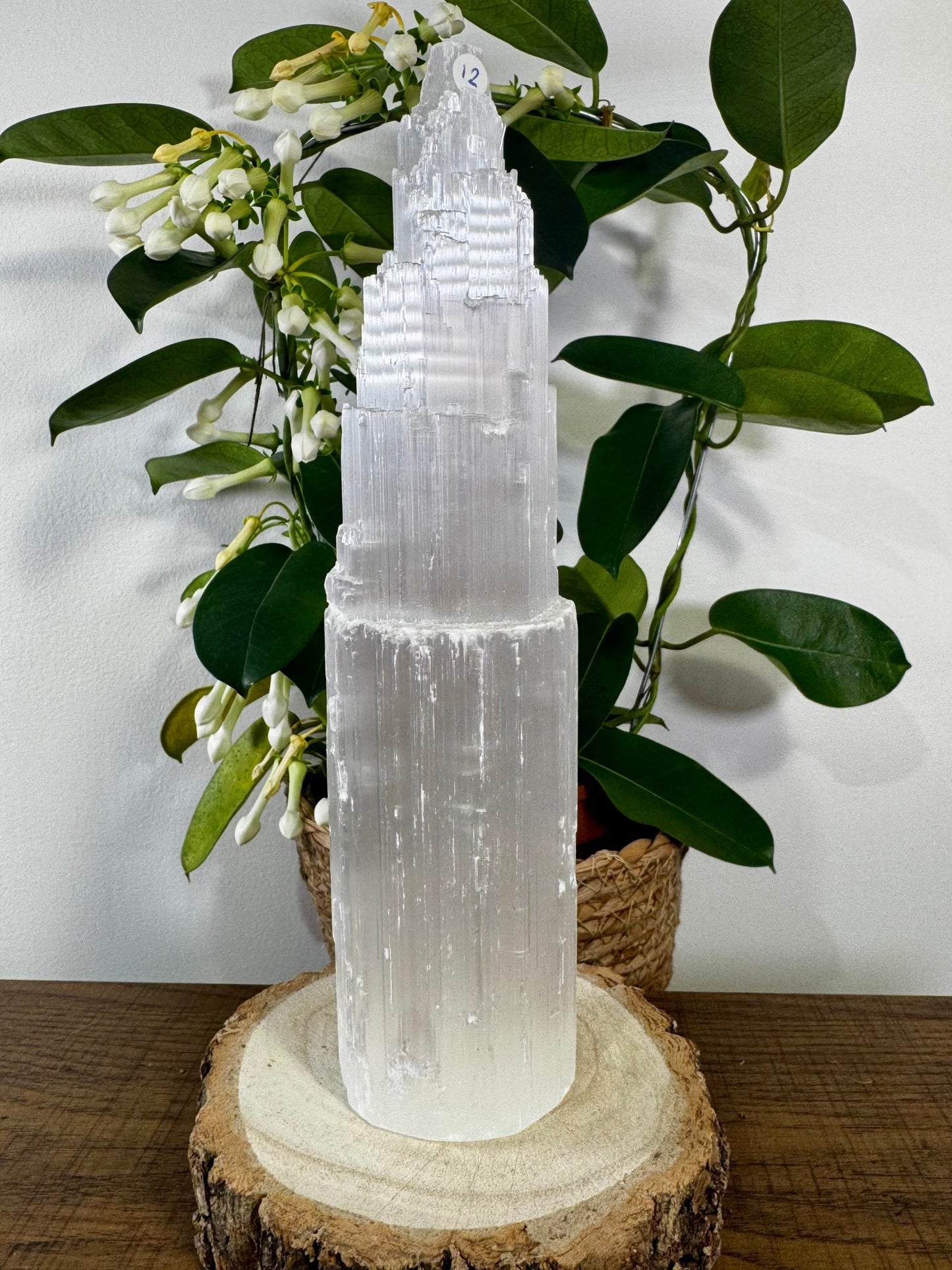 Selenite Tower | 764g - The Crystal Valley