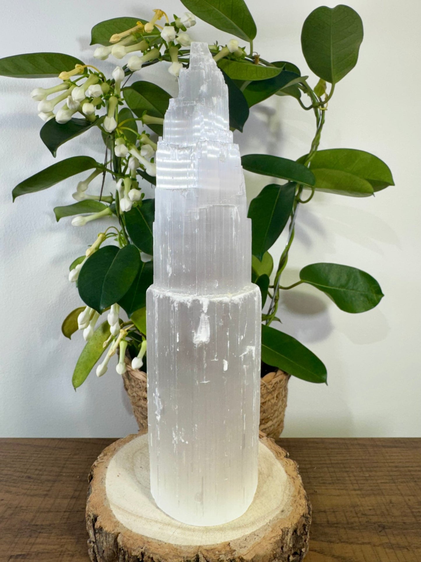Selenite Tower | 764g - The Crystal Valley