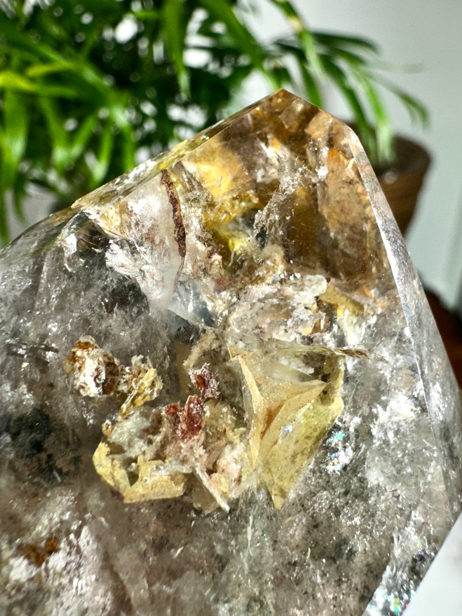 Shaman (Garden) Smokey Quartz Free Form | 196g - The Crystal Valley