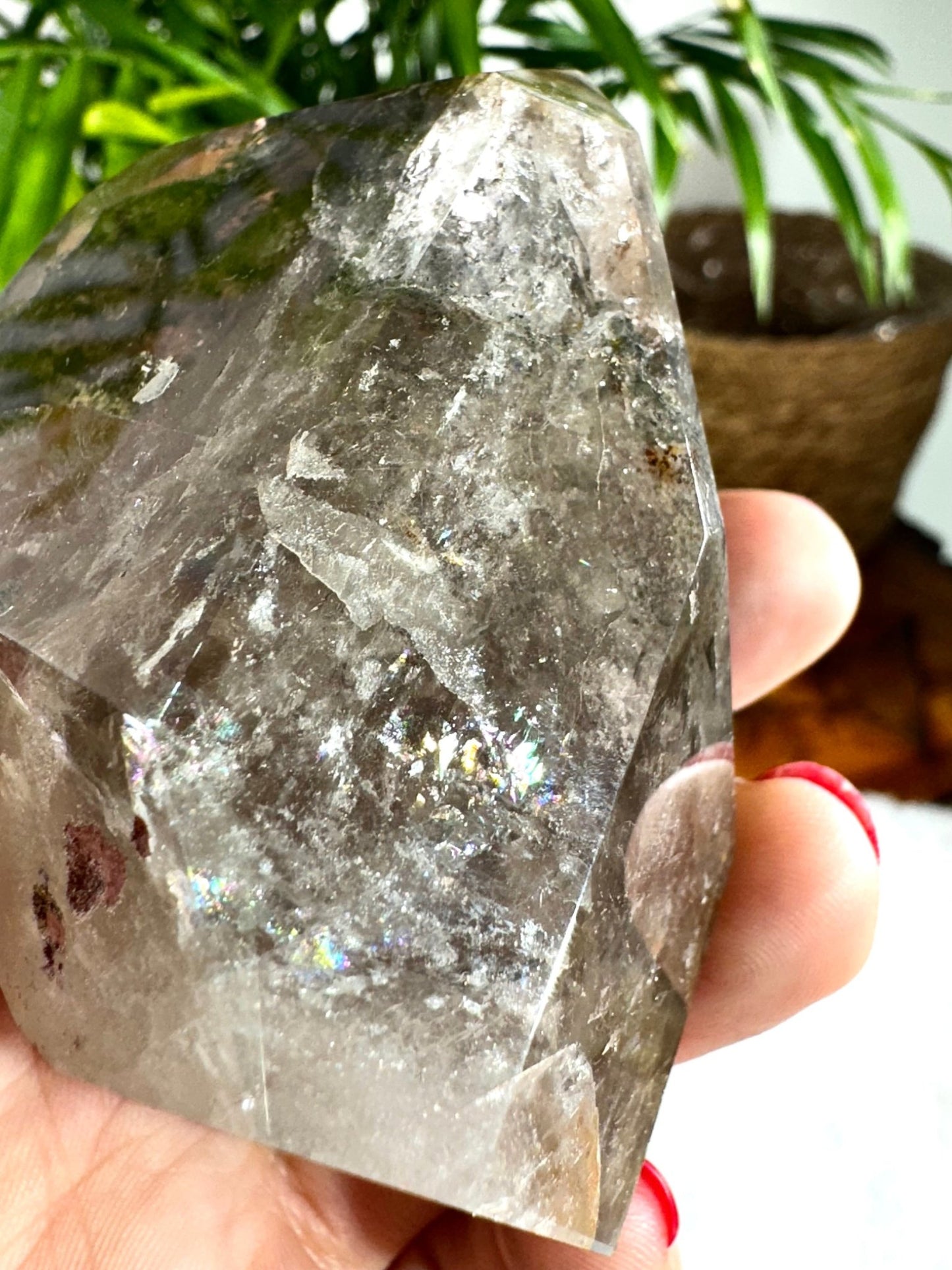 Shaman (Garden) Smokey Quartz Free Form | 196g - The Crystal Valley