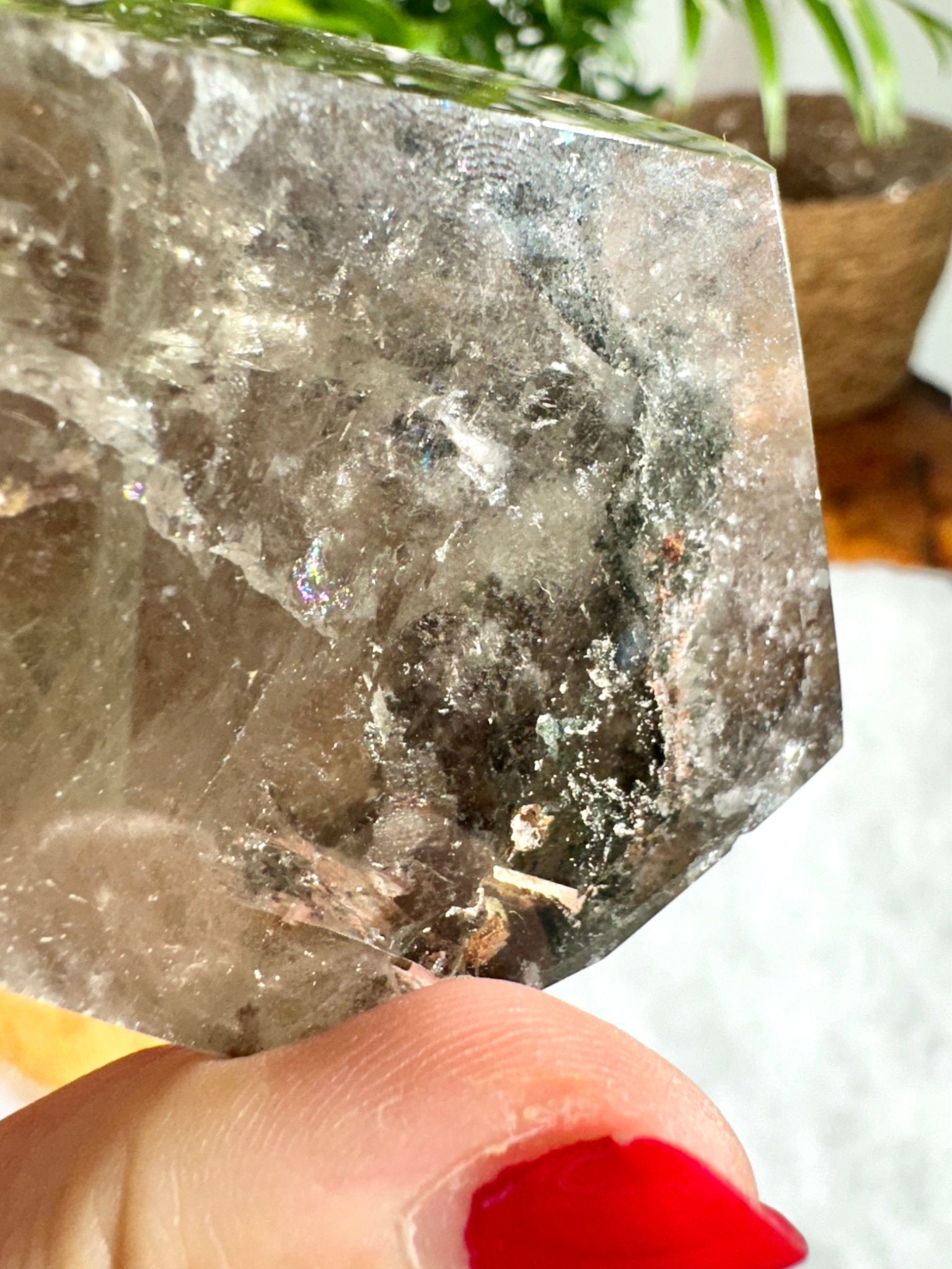 Shaman (Garden) Smokey Quartz Free Form | 196g - The Crystal Valley