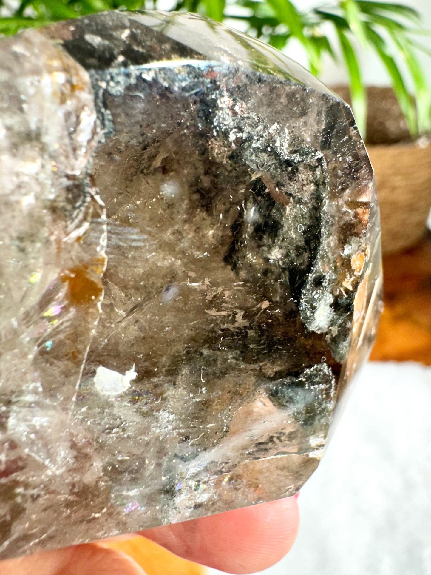 Shaman (Garden) Smokey Quartz Free Form | 196g - The Crystal Valley