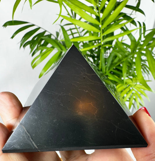 Shungite Pyramid | 190g - The Crystal Valley