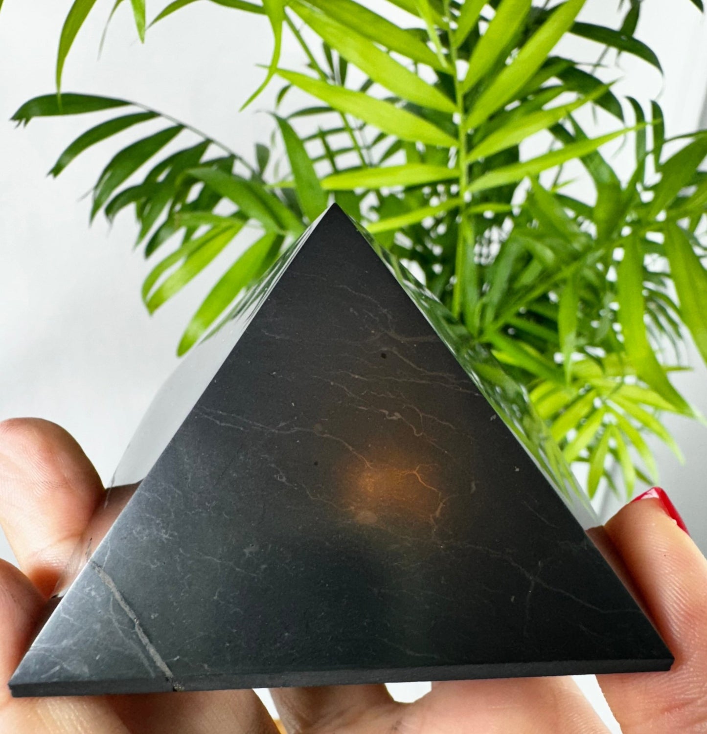 Shungite Pyramid | 190g - The Crystal Valley
