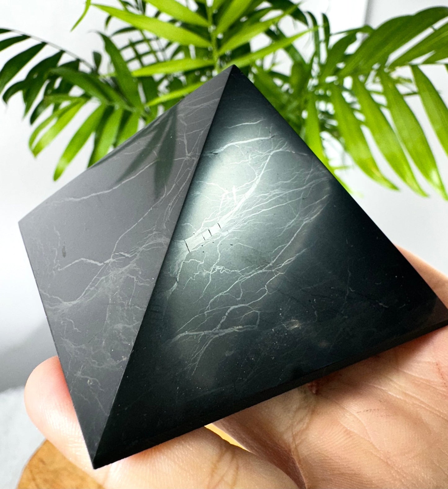 Shungite Pyramid | 190g - The Crystal Valley