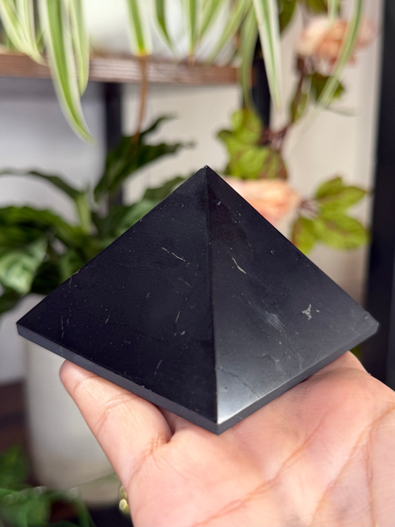 Shungite Pyramid | 243g - The Crystal Valley