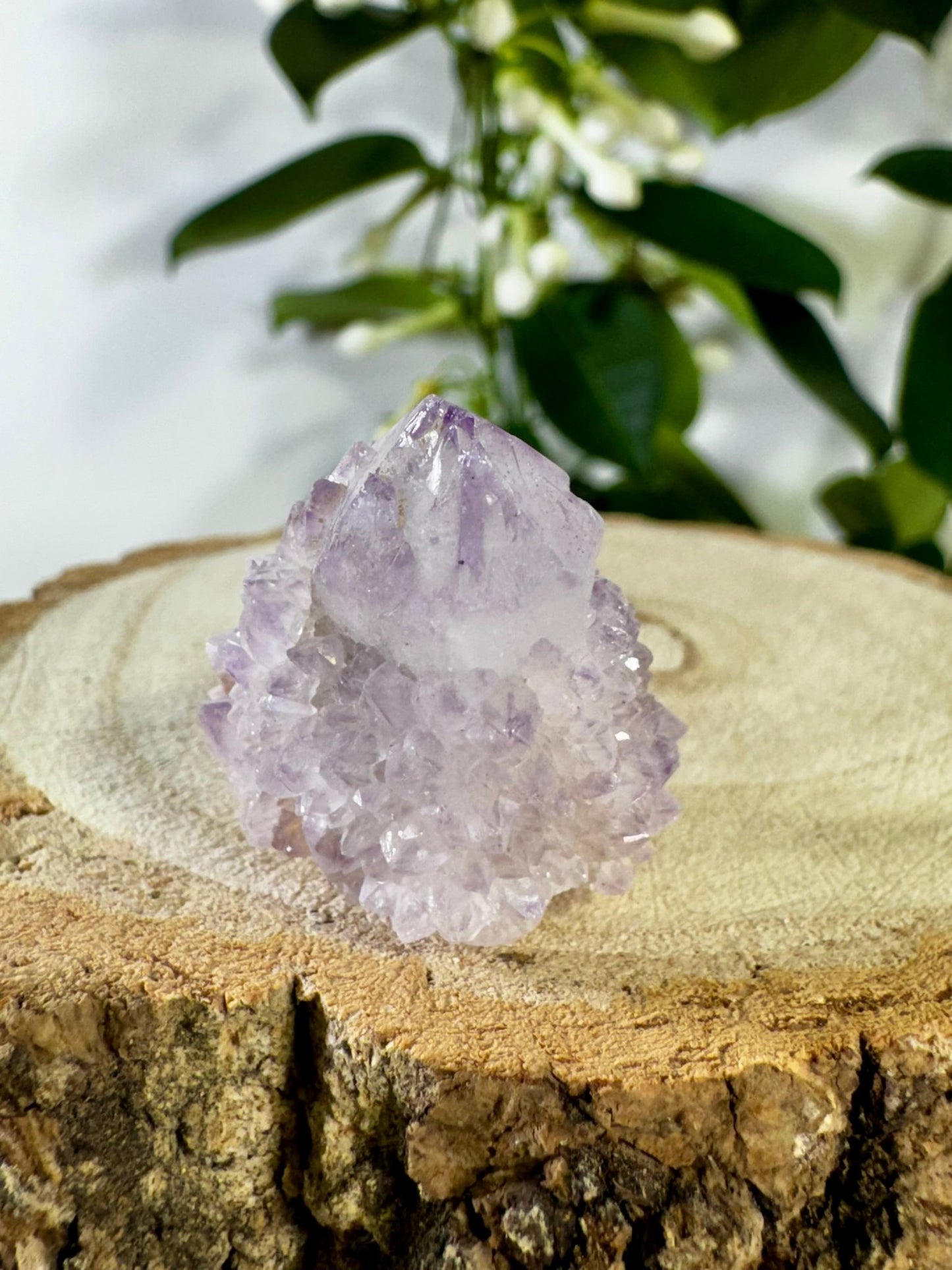 Small Spirit Quartz | 22g - The Crystal Valley