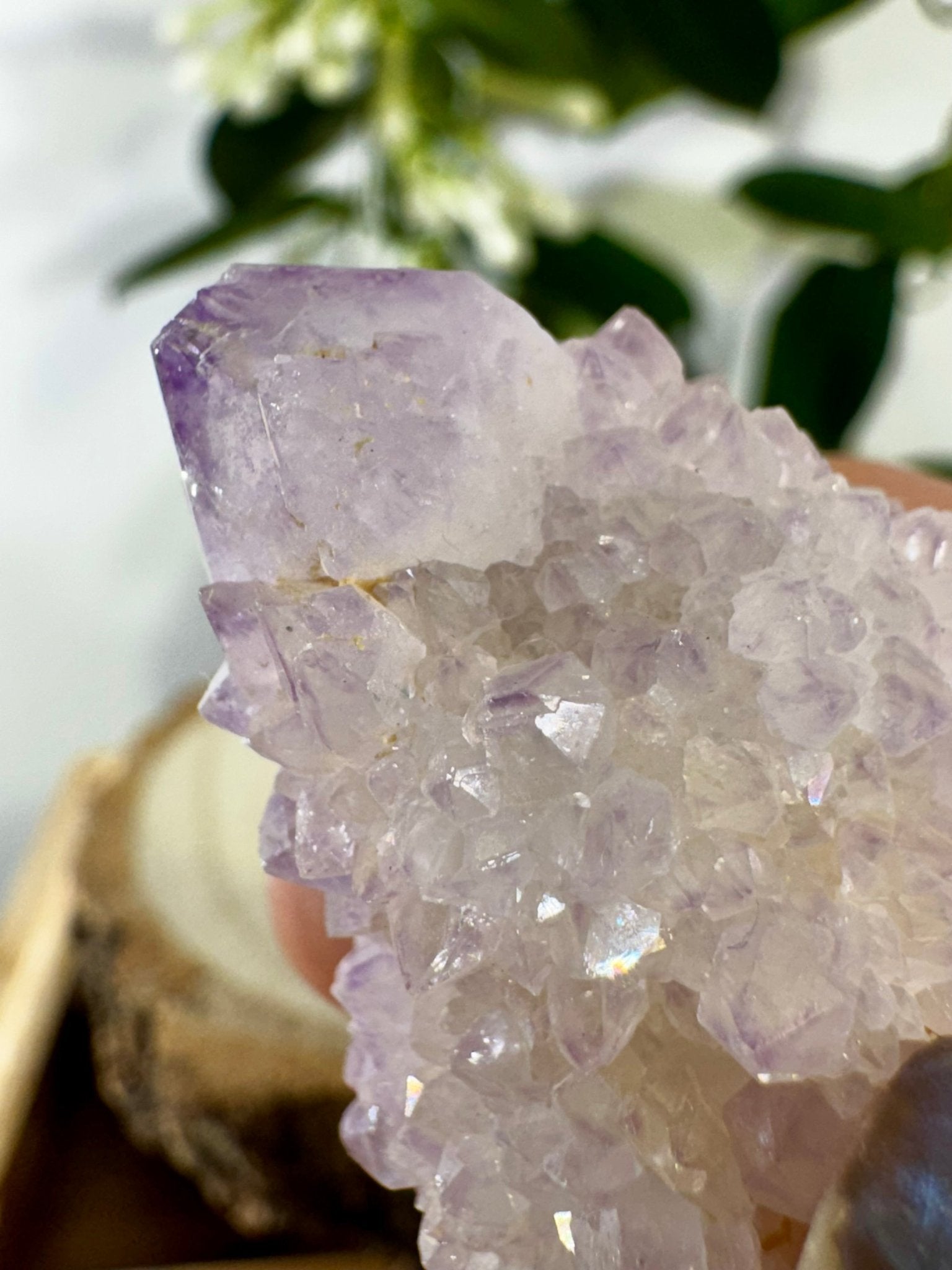 Small Spirit Quartz | 22g - The Crystal Valley