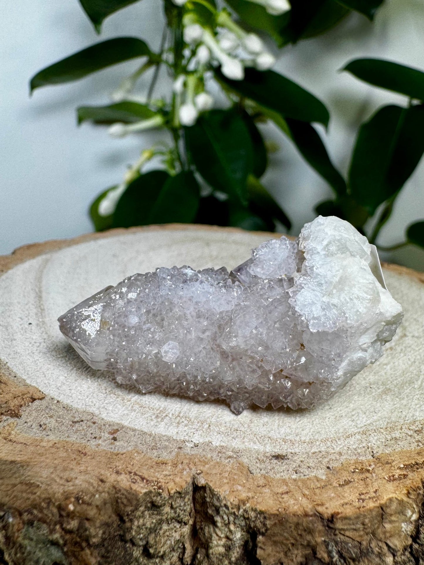 Small Spirit Quartz | 23g - The Crystal Valley