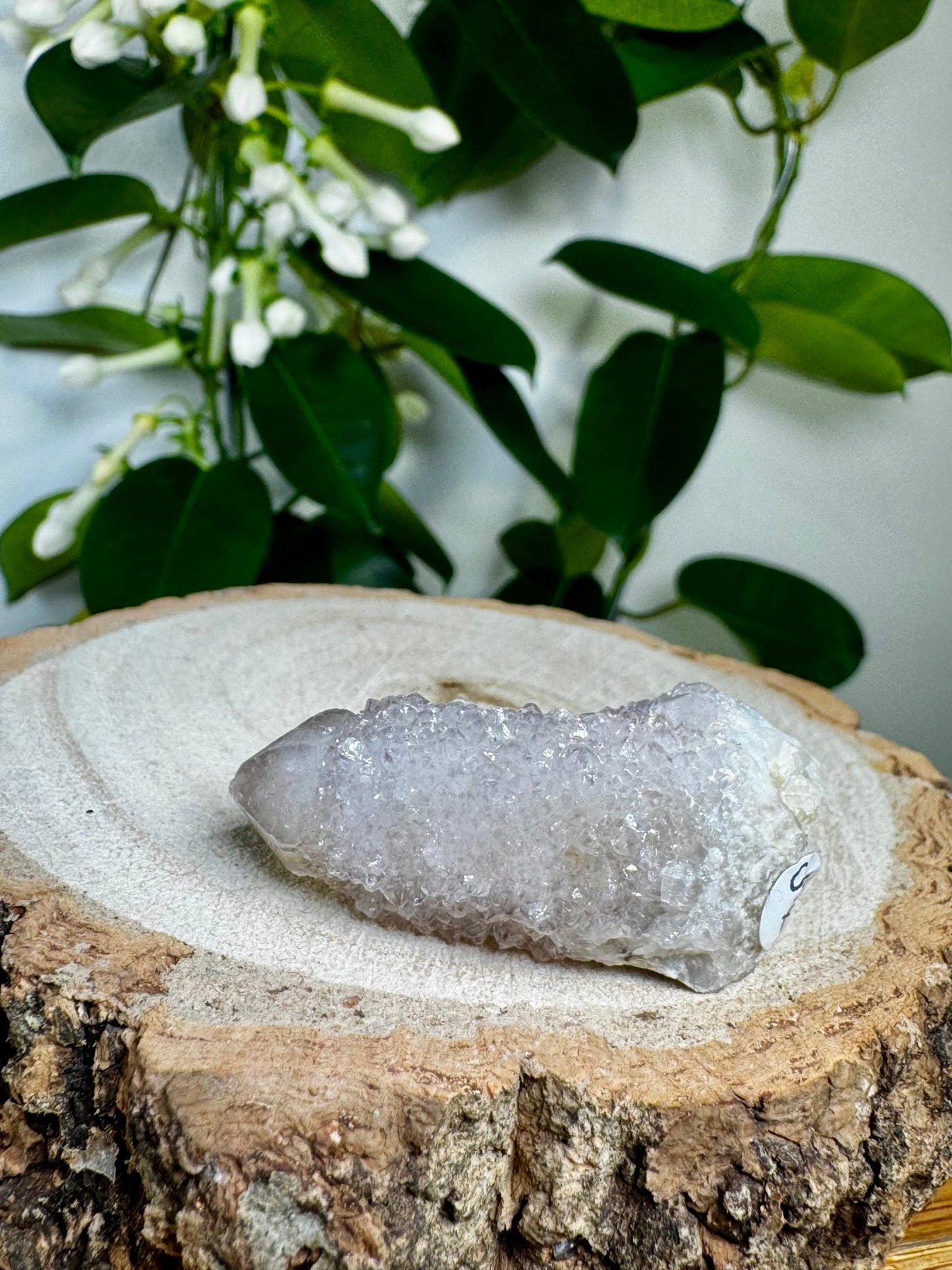 Small Spirit Quartz | 23g - The Crystal Valley