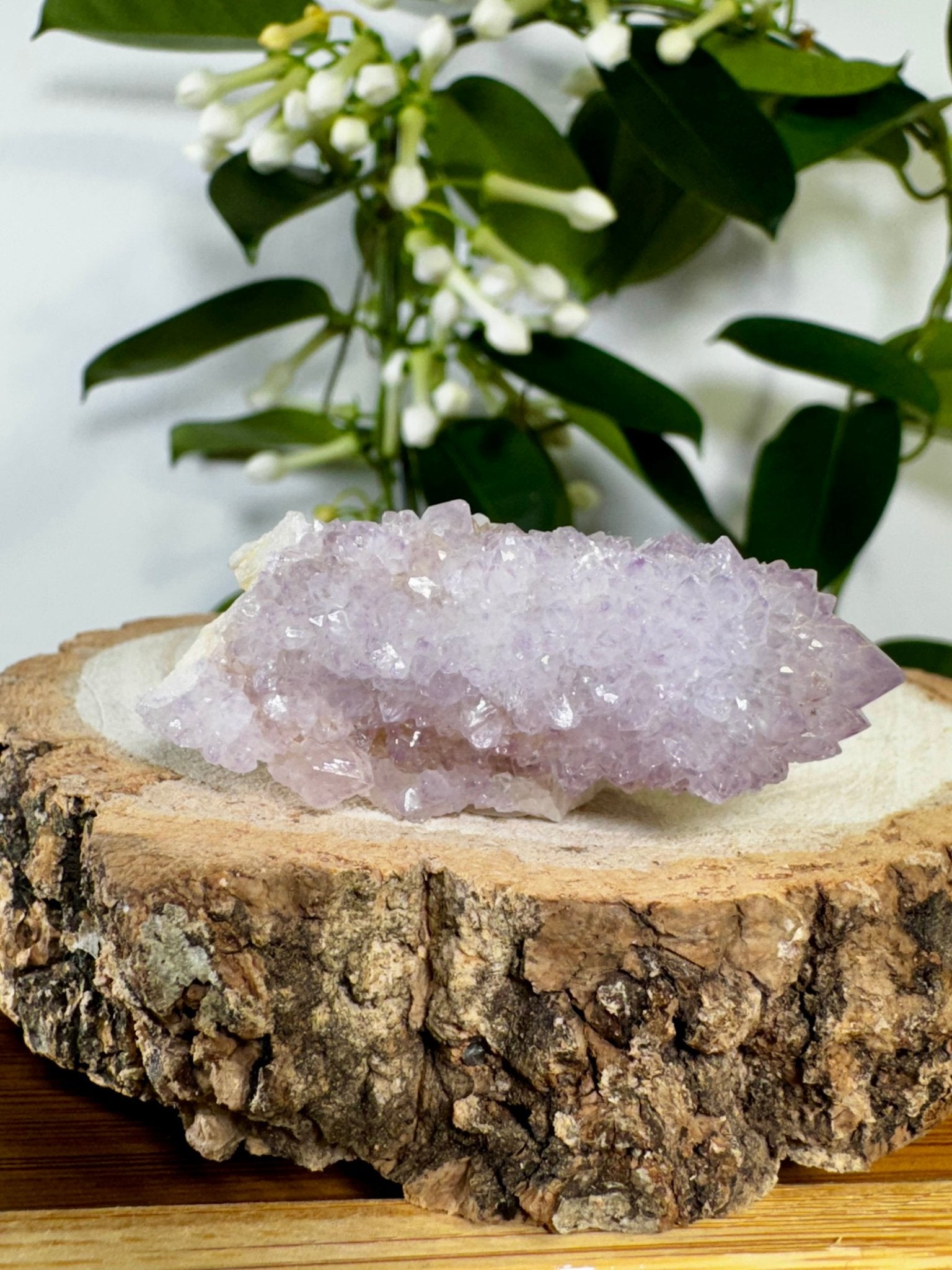 Small Spirit Quartz | 28g - The Crystal Valley