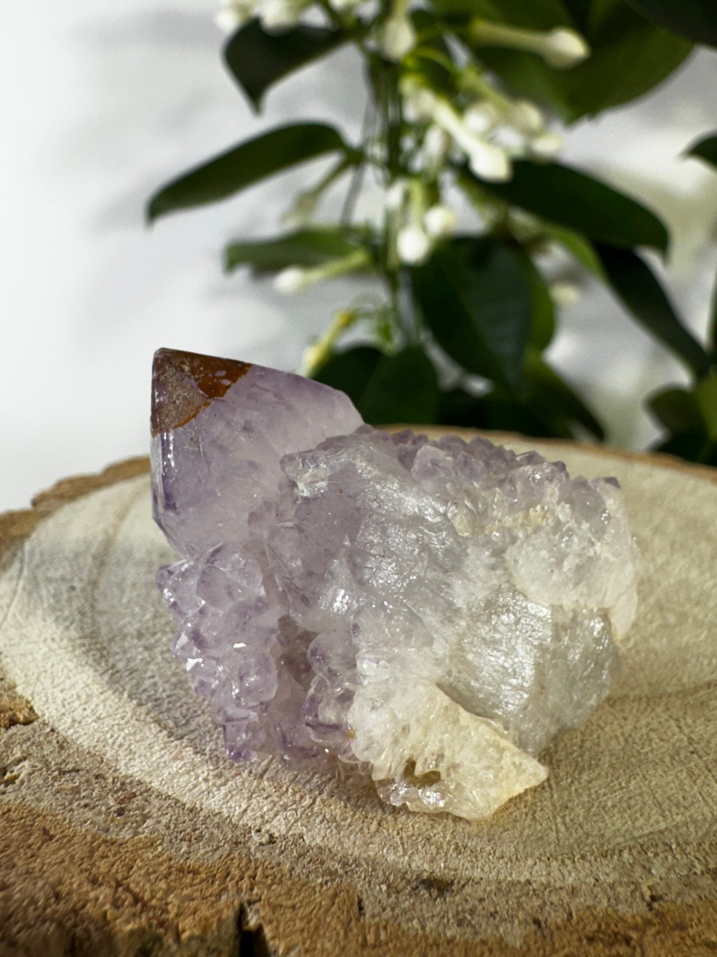 Small Spirit Quartz | 28g - The Crystal Valley