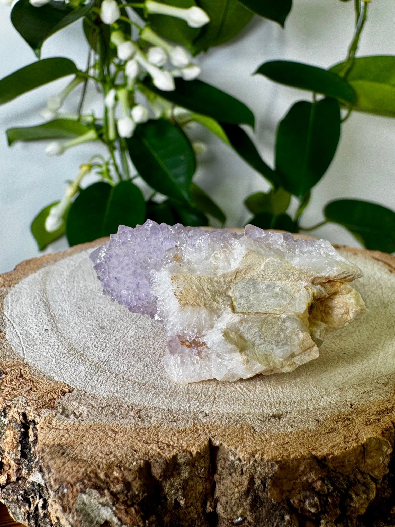 Small Spirit Quartz | 28g - The Crystal Valley