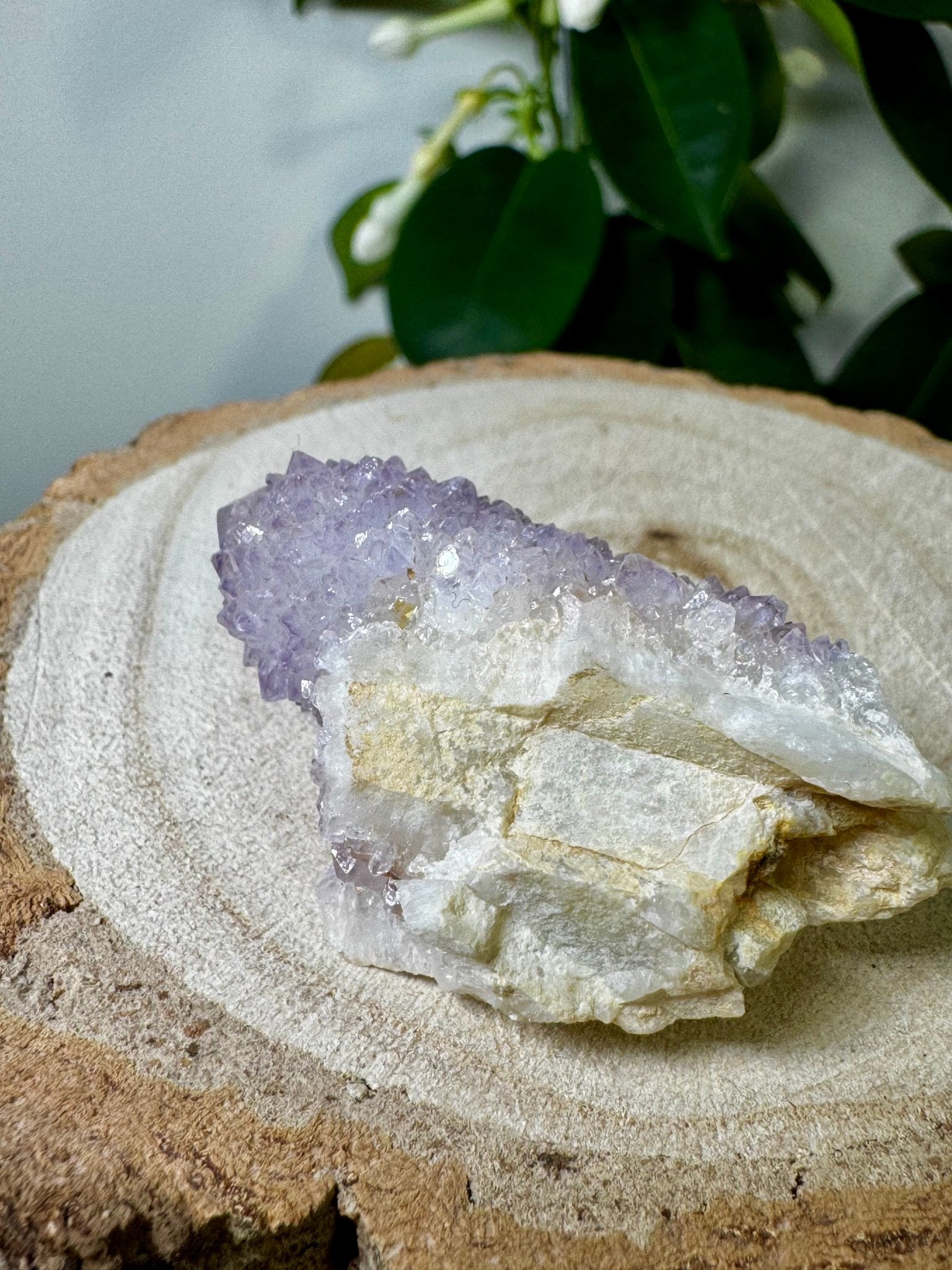 Small Spirit Quartz | 28g - The Crystal Valley