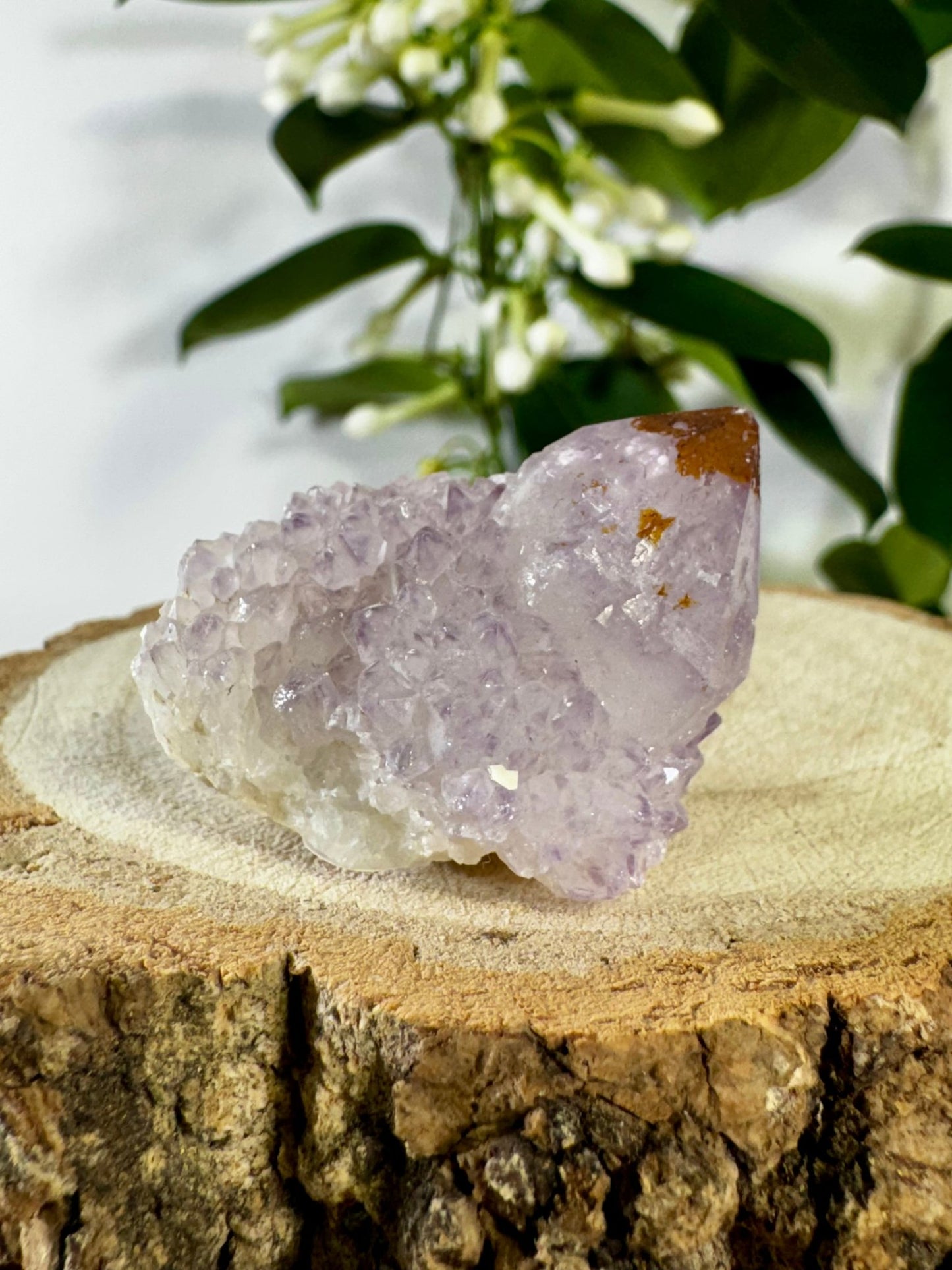 Small Spirit Quartz | 28g - The Crystal Valley