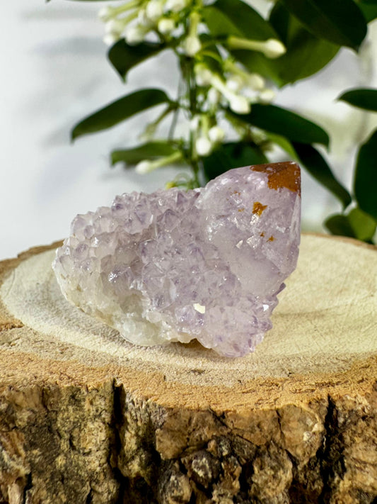 Small Spirit Quartz | 28g - The Crystal Valley