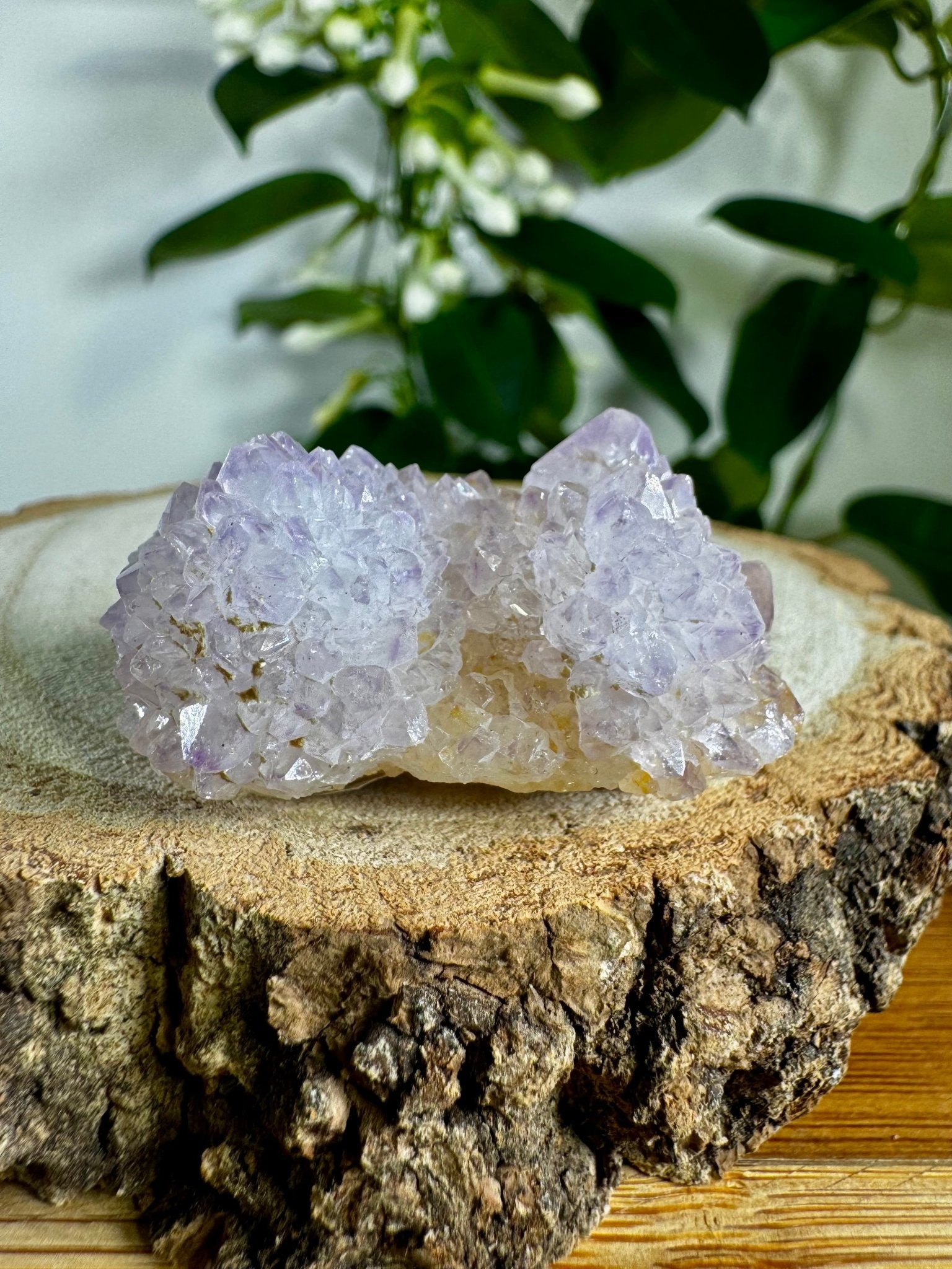 Small Spirit Quartz | 29g - The Crystal Valley