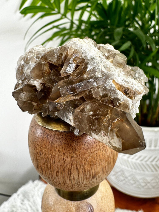 Smokey Quartz Cluster | 84g - The Crystal Valley