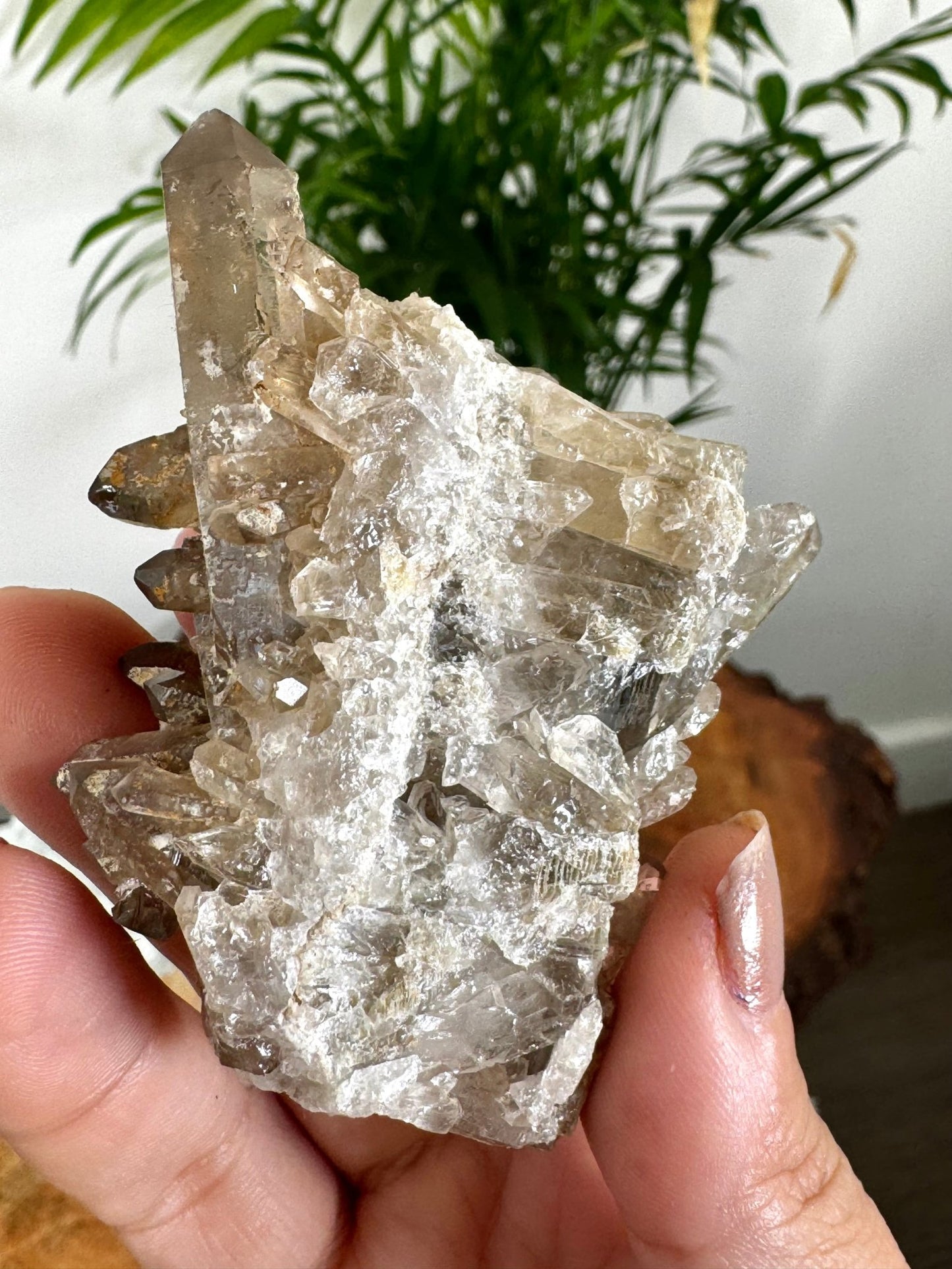 Smokey Quartz Cluster | 84g - The Crystal Valley