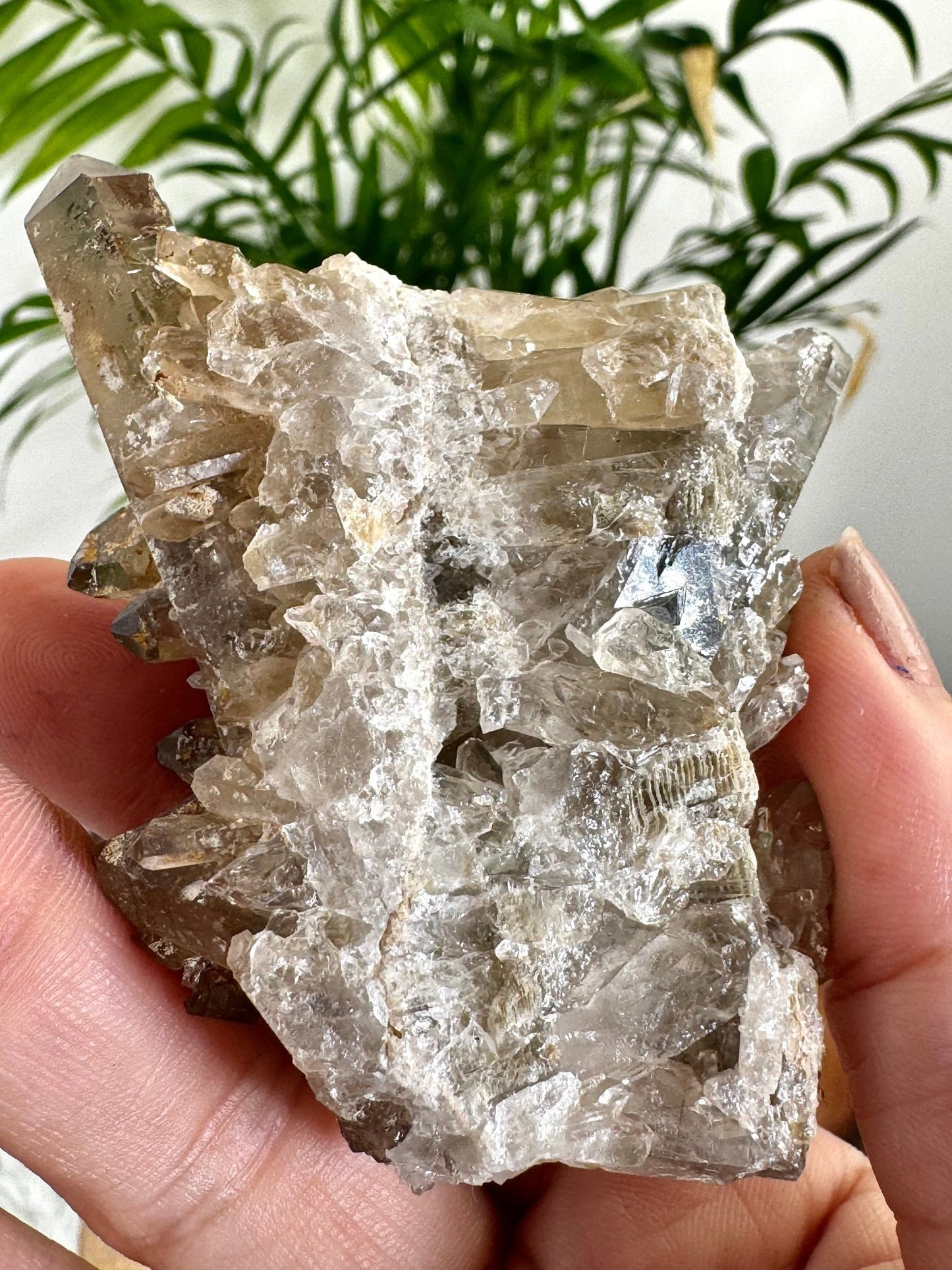 Smokey Quartz Cluster | 84g - The Crystal Valley