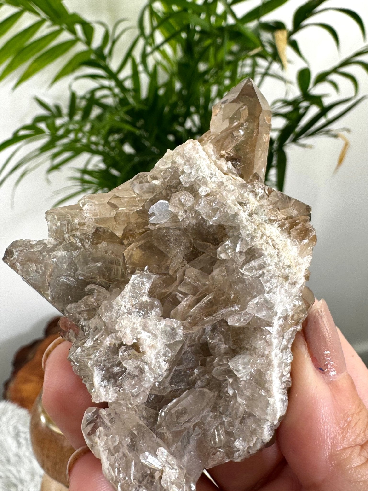 Smokey Quartz Cluster | 84g - The Crystal Valley