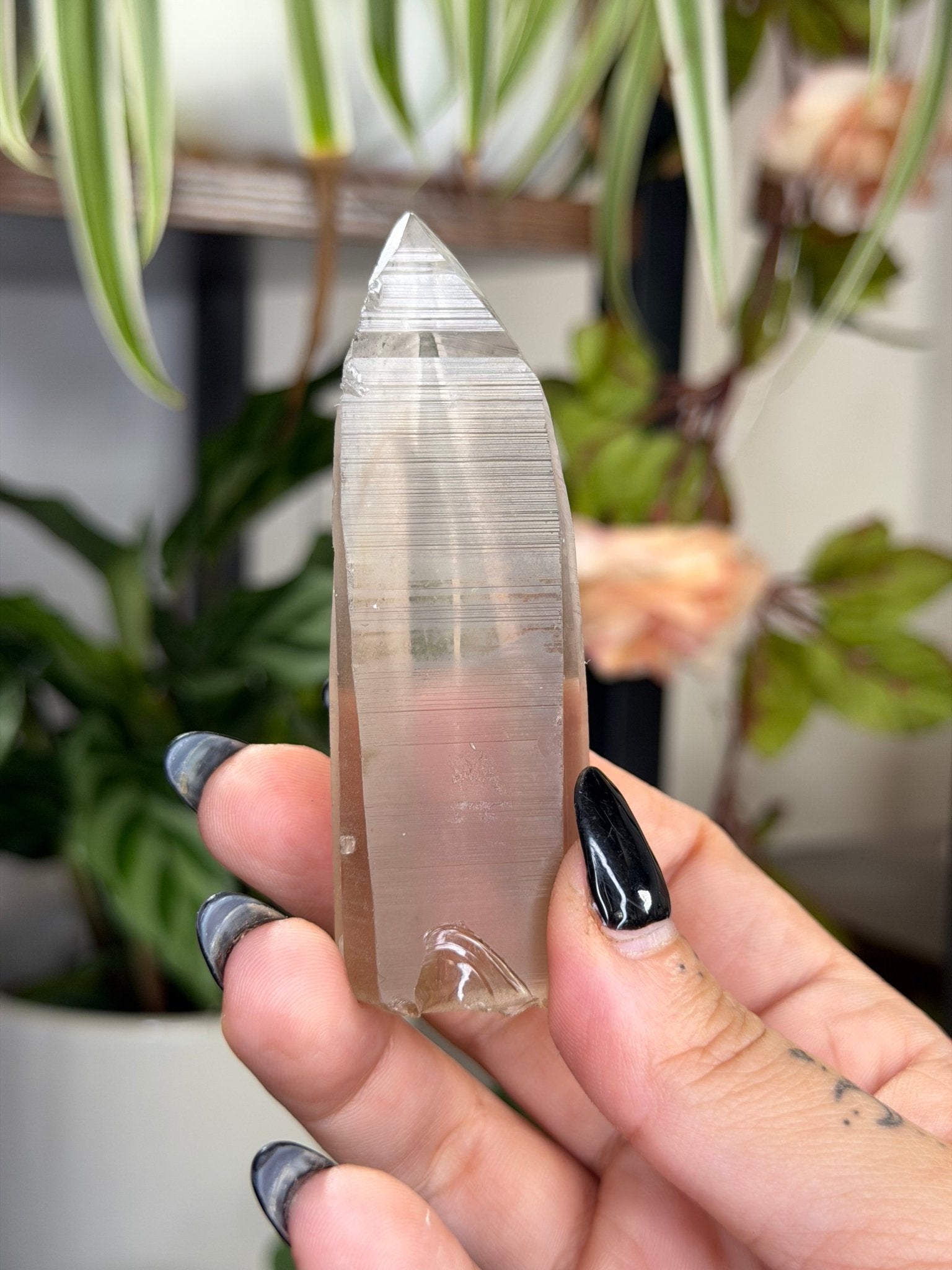 Smokey Serra do Cabral Cathedral Lemurian quartz | 68g - The Crystal ValleyLemurian
