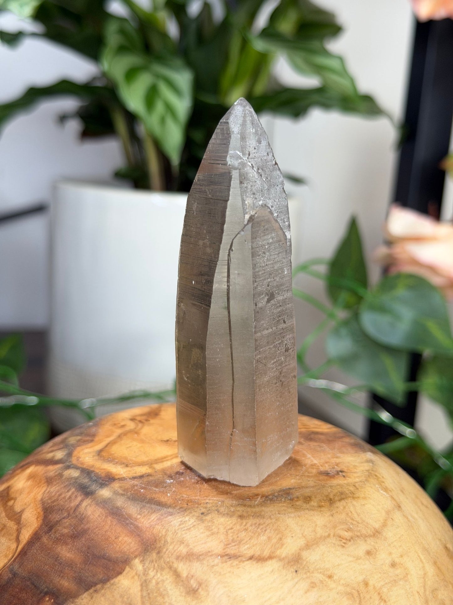 Smokey Serra do Cabral Cathedral Lemurian quartz | 68g - The Crystal ValleyLemurian