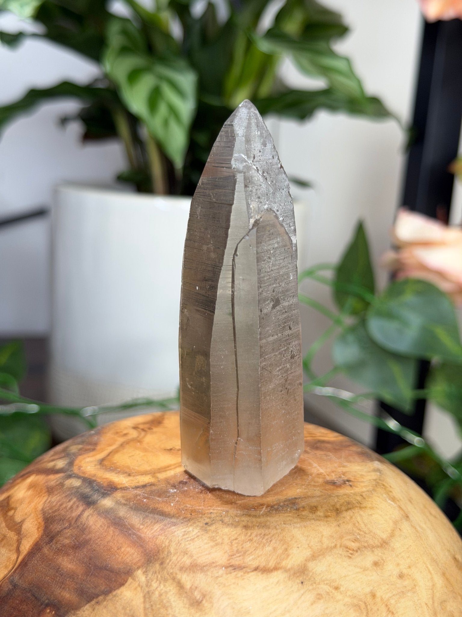 Smokey Serra do Cabral Cathedral Lemurian quartz | 68g - The Crystal ValleyLemurian