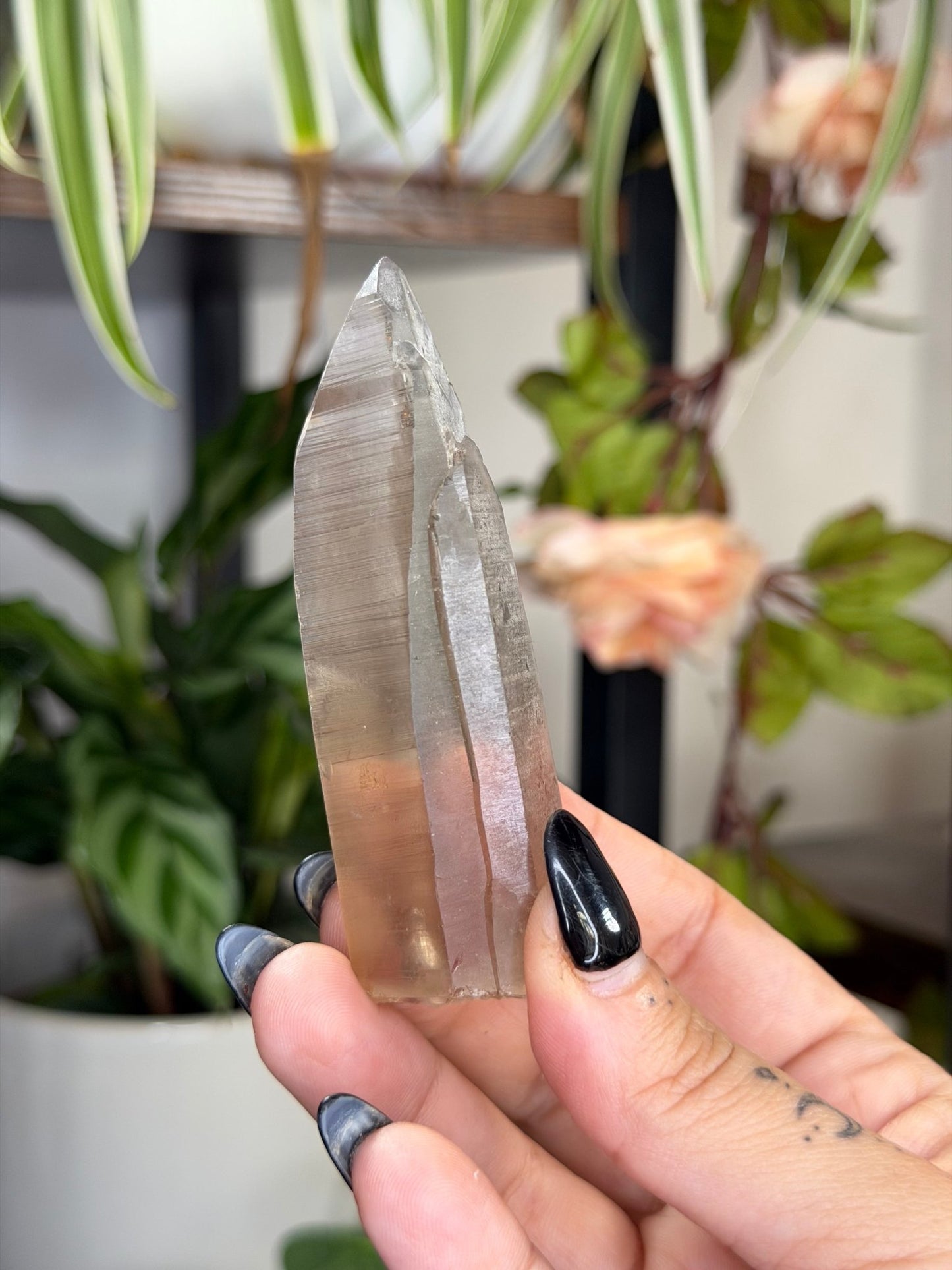 Smokey Serra do Cabral Cathedral Lemurian quartz | 68g - The Crystal ValleyLemurian