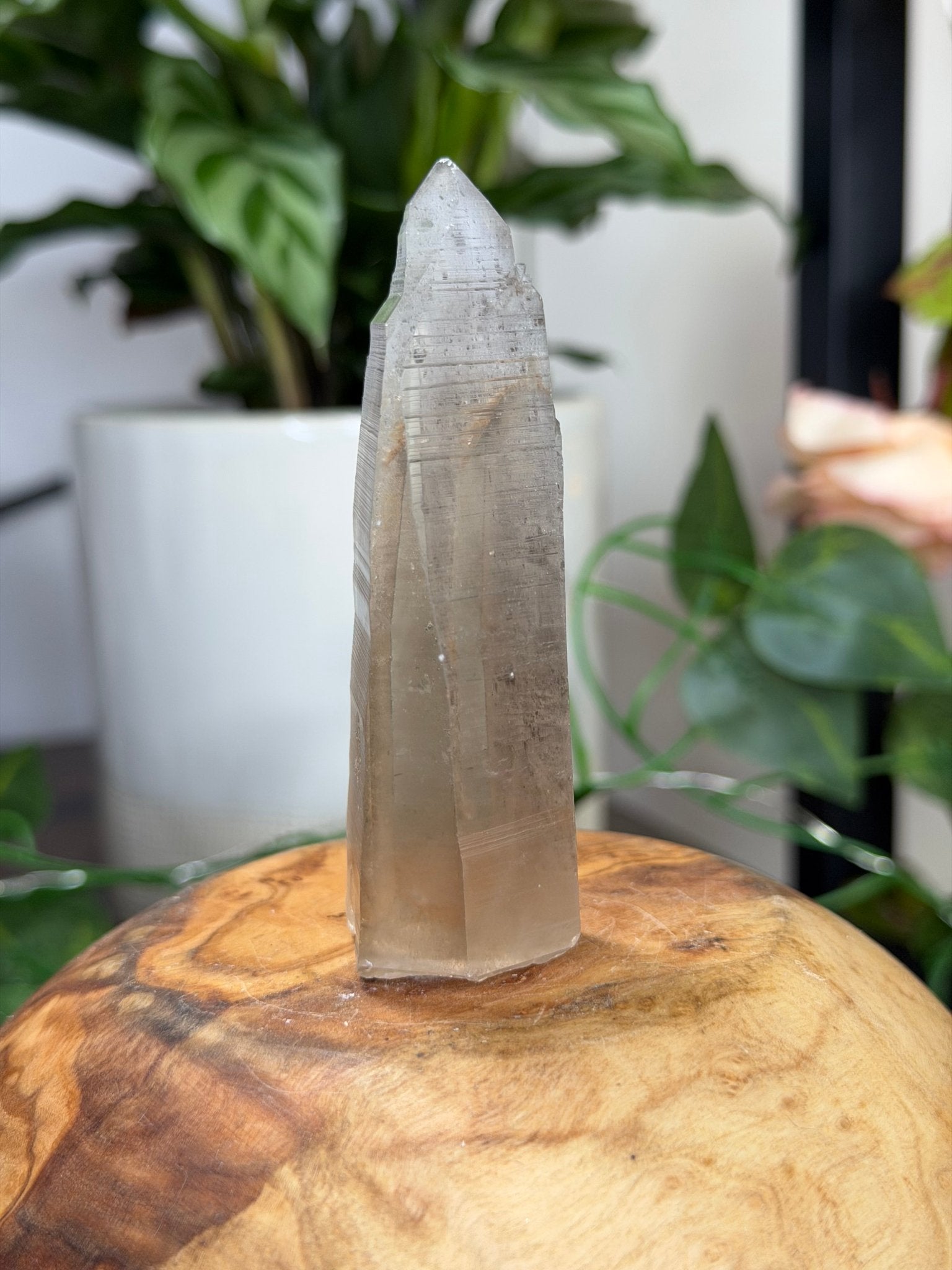 Smokey Serra do Cabral Cathedral Lemurian quartz | 68g - The Crystal ValleyLemurian