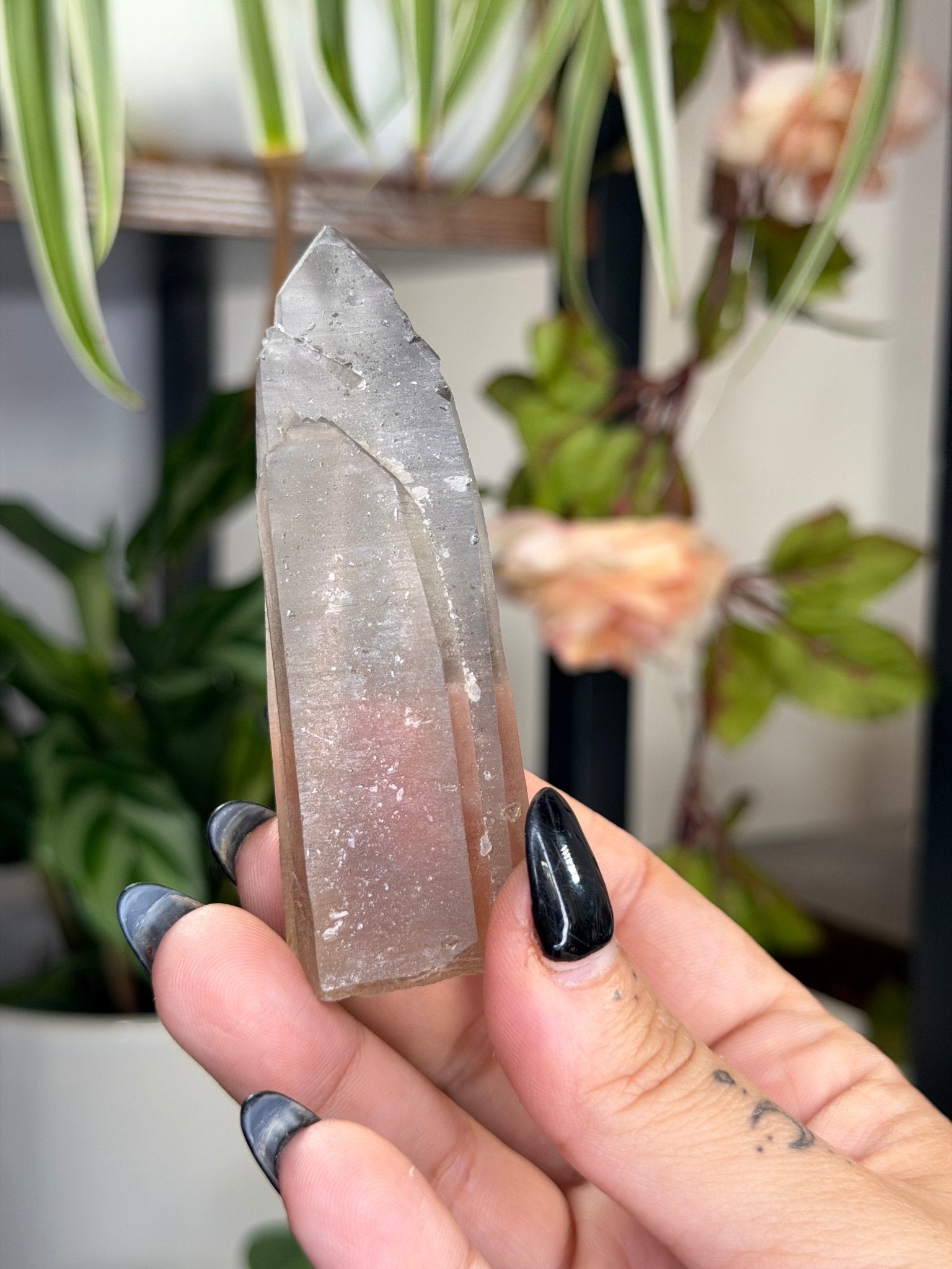 Smokey Serra do Cabral Cathedral Lemurian quartz | 68g - The Crystal ValleyLemurian