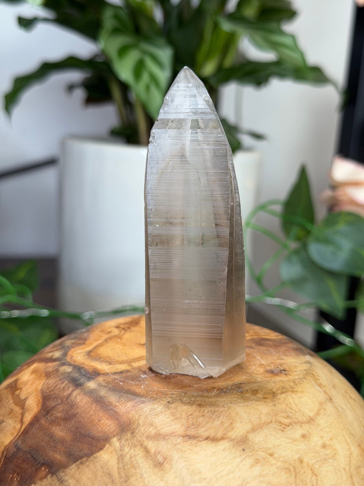 Smokey Serra do Cabral Cathedral Lemurian quartz | 68g - The Crystal ValleyLemurian