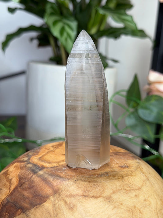 Smokey Serra do Cabral Cathedral Lemurian quartz | 68g - The Crystal ValleyLemurian