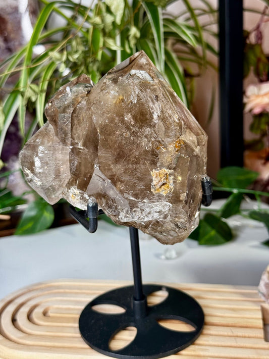 Statment Piece ~ Elestial Smokey Quartz | 575g - The Crystal Valley